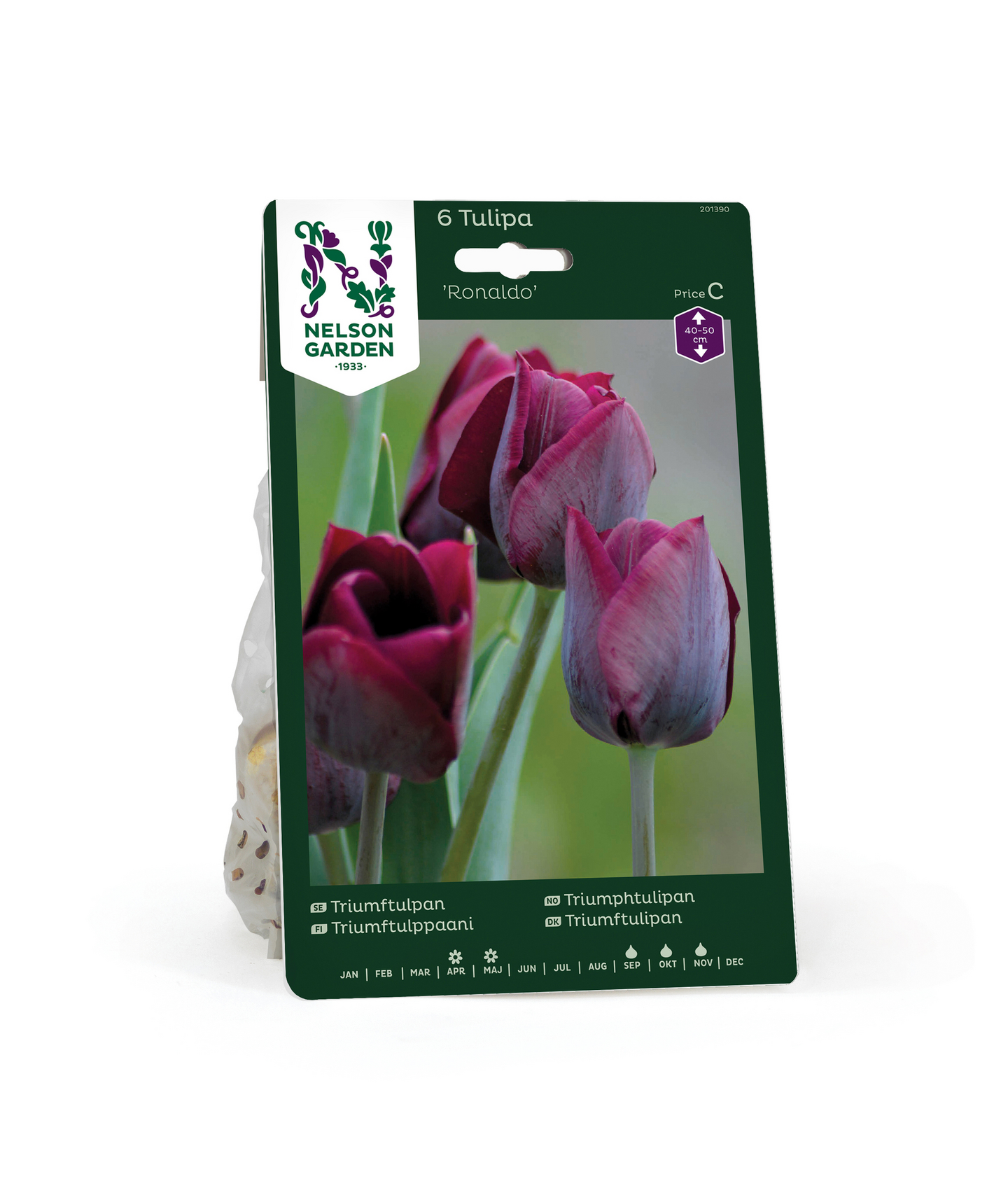 Triumftulppaani Tulipa Ronaldo Nelson Garden 6kpl