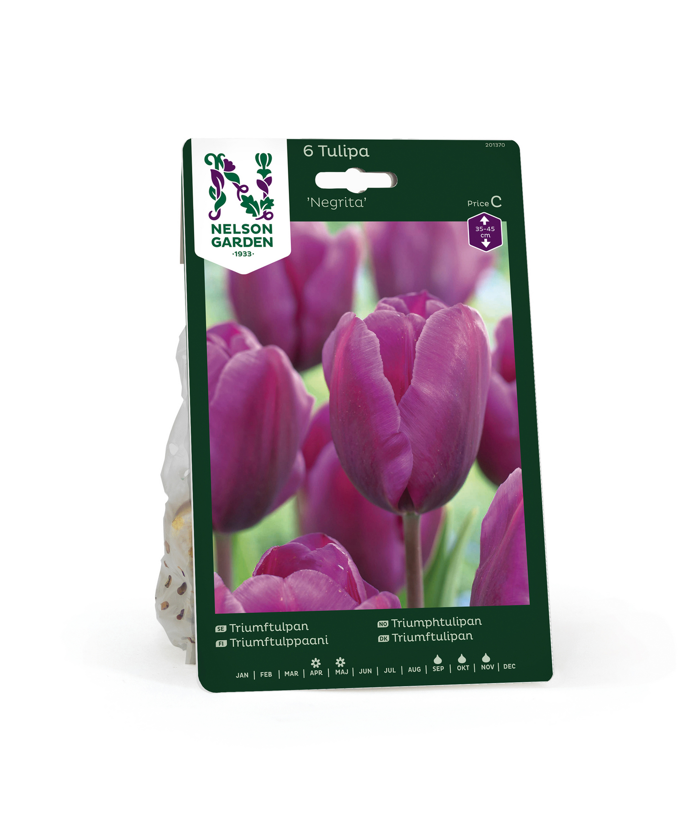 Triumftulppaani Tulipa Negrita Nelson Garden 6kpl