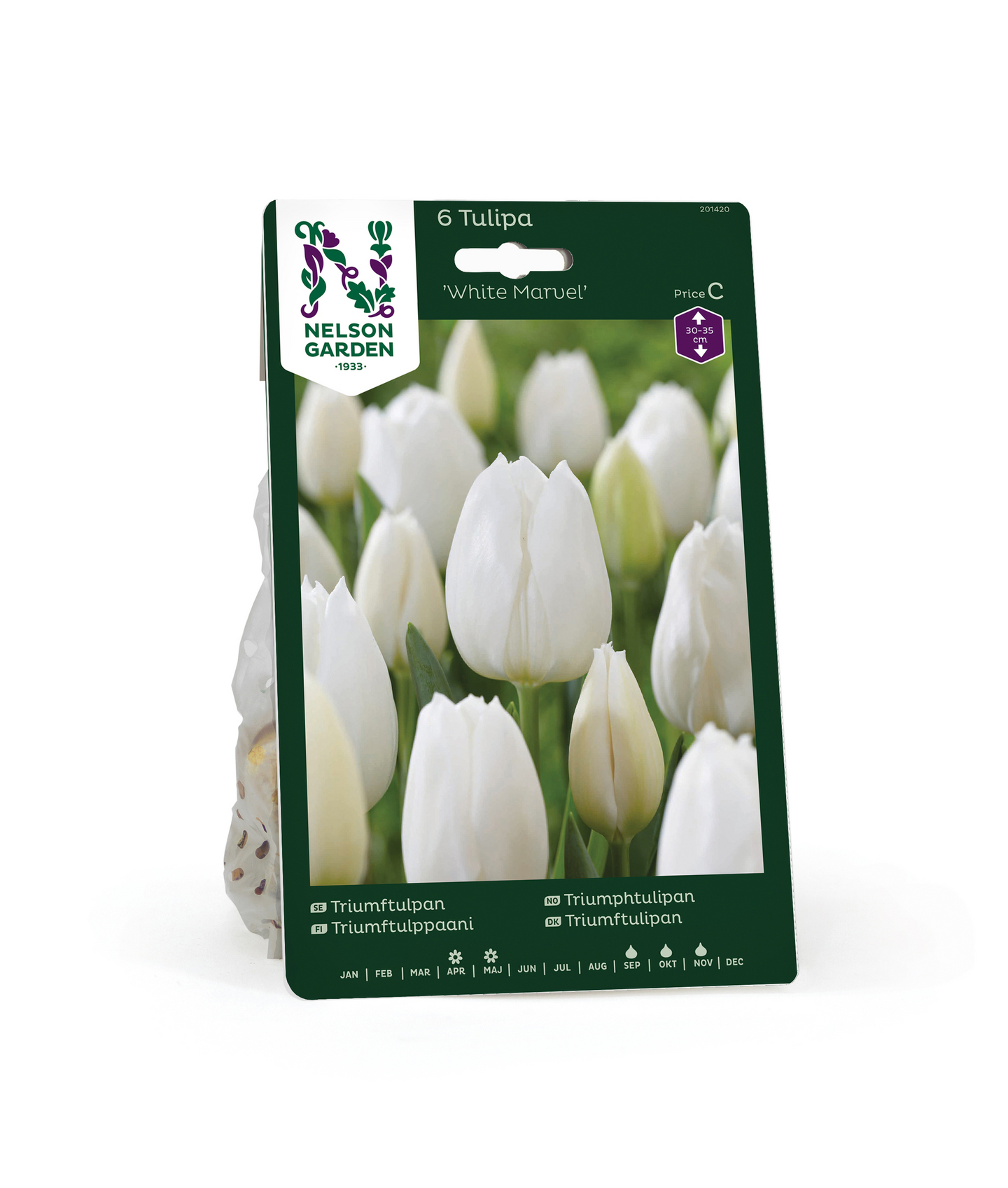 Triumftulppaani Tulipa White Marvel Nelson Garden 6kpl