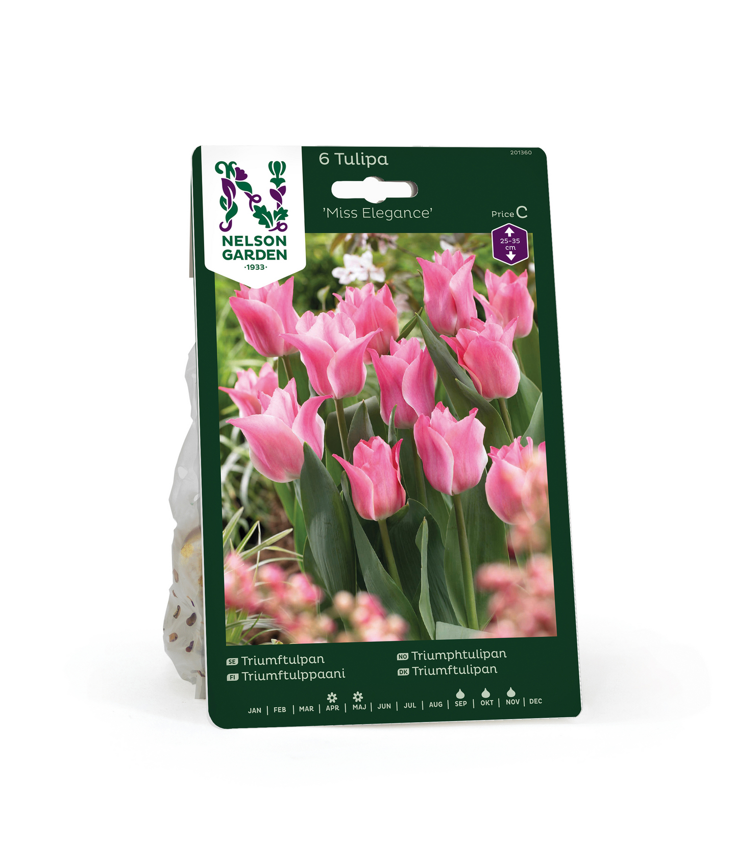 Triumftulppaani Tulipa Miss Elegance Nelson Garden 6kpl