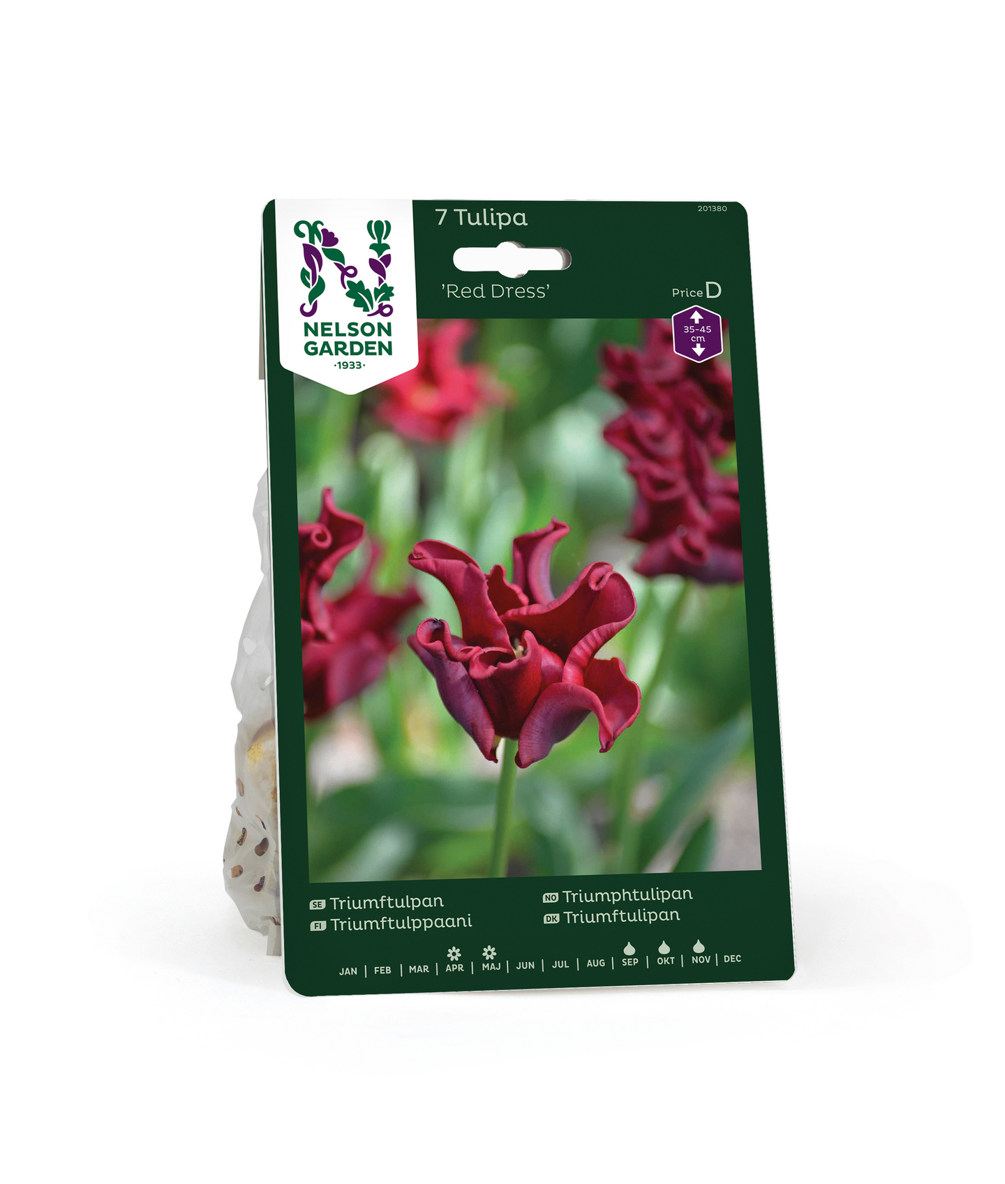 Triumftulppaani Tulipa Red Dress Nelson Garden 7kpl