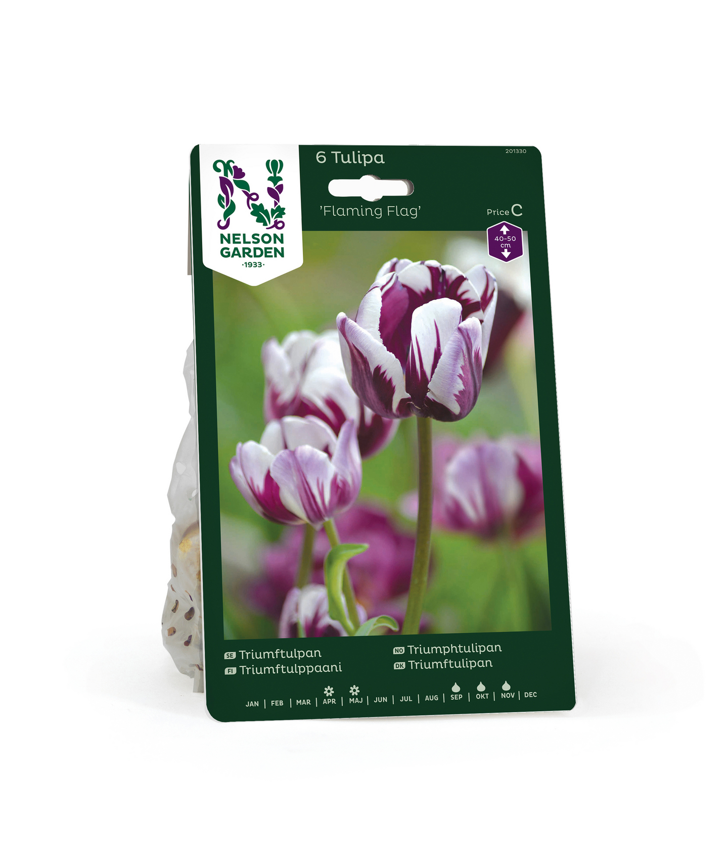 Triumftulppaani Tulipa Flaming Flag Nelson Garden 6kpl