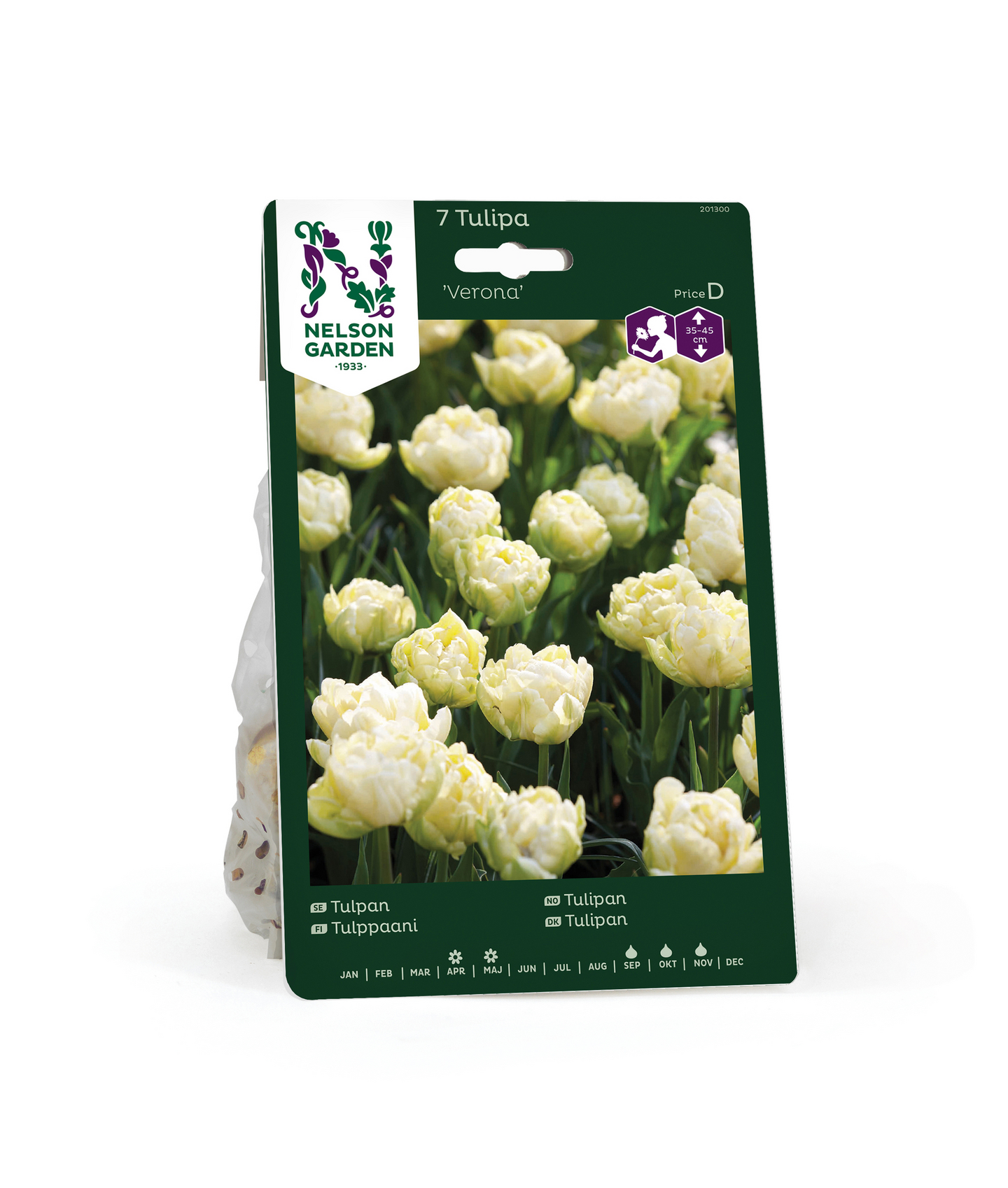 Tulppaani Tulipa Verona Nelson Garden 7kpl