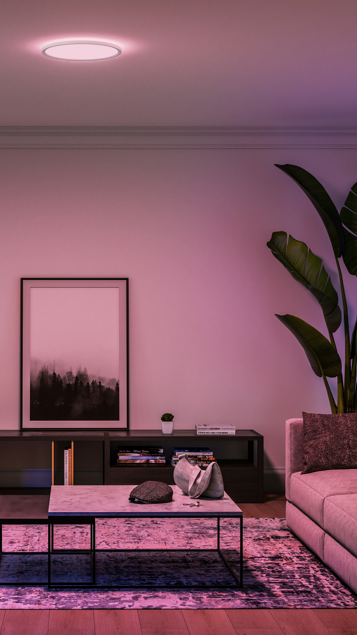 Paneelivalaisin Philips Hue Tento Slim M 3100lm