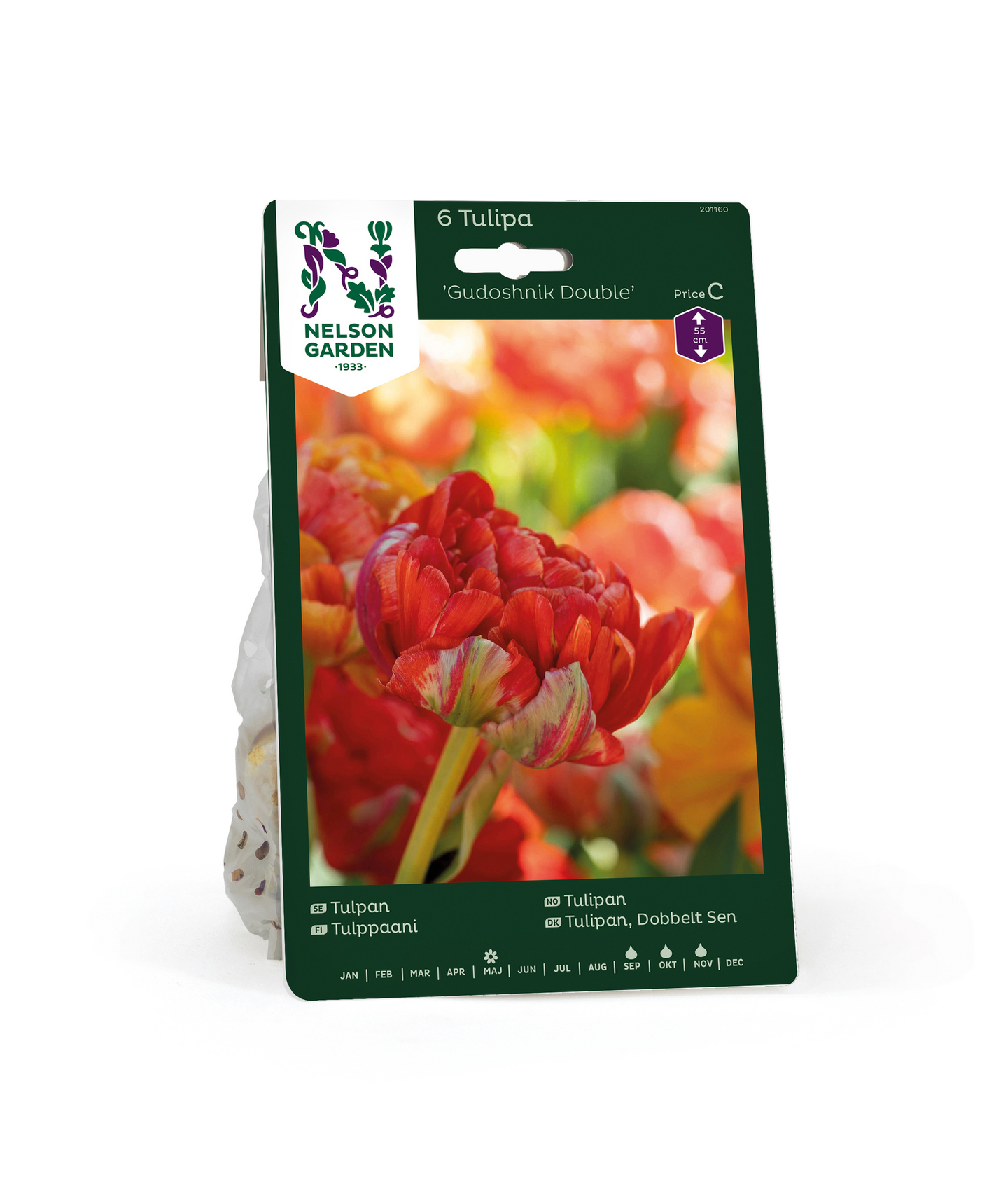 Tulppaani Tulipa Gudoshnik Double Nelson Garden 6kpl