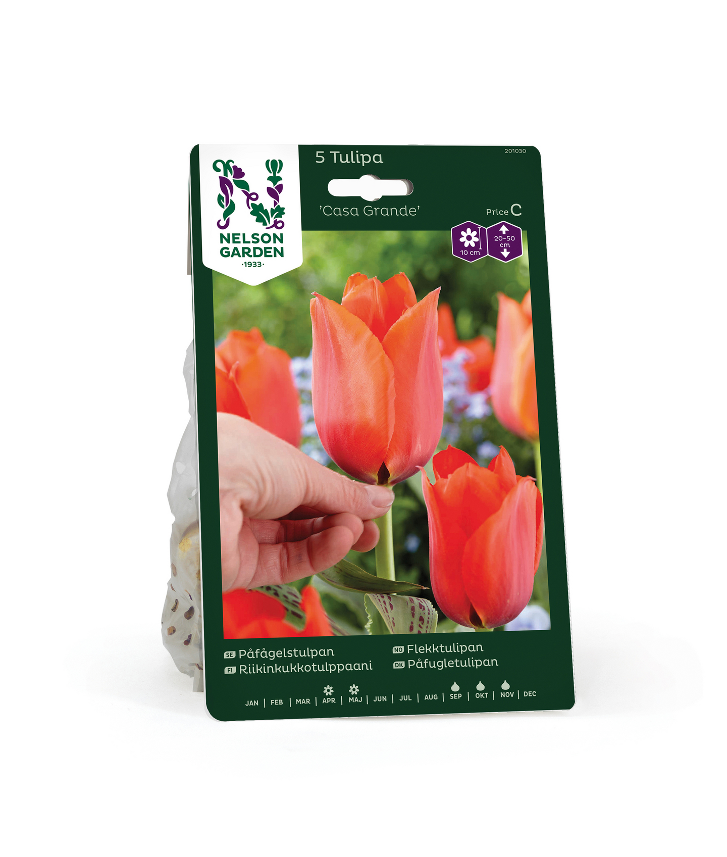 Tulppaani Tulipa Casa Grande Nelson Garden 5kpl