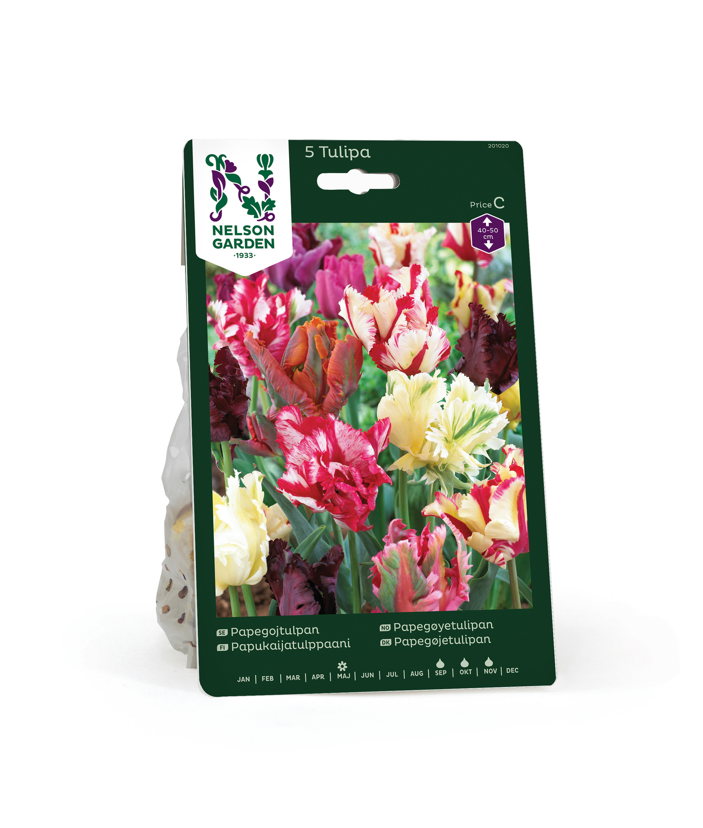 Papukaijatulpp Tulipa Parrott Värisekoitus Nelson Garden 5kpl