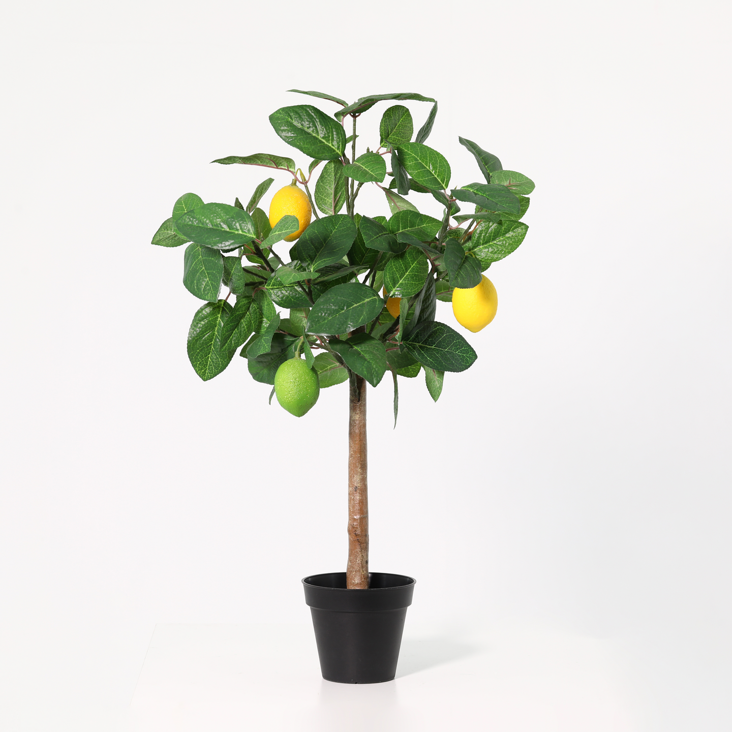 Tekopuu Cello sitruuna 65cm