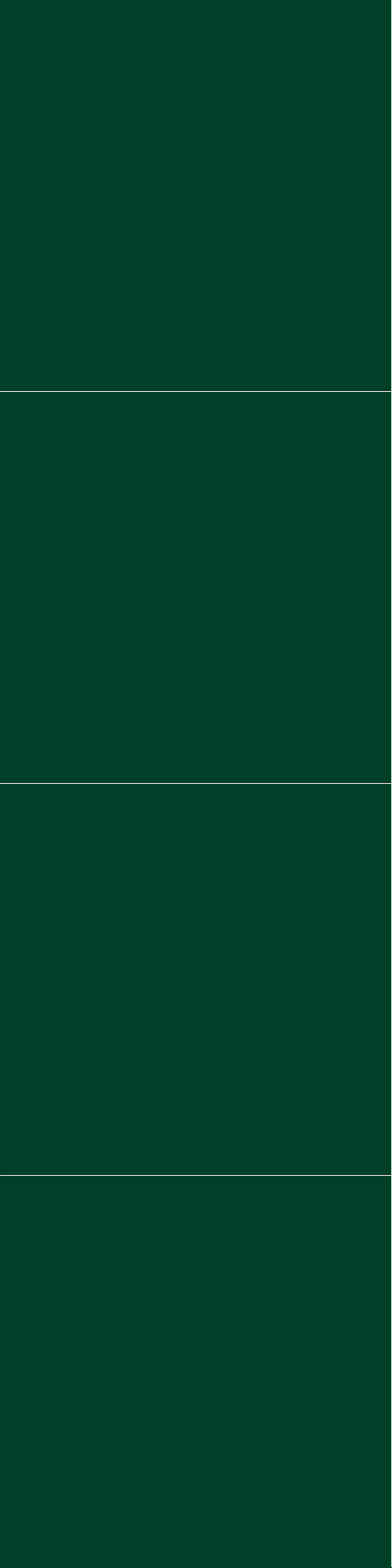 Sisustuslevy Fibo 5231M6060 Bottle Green 10x620x2400mm