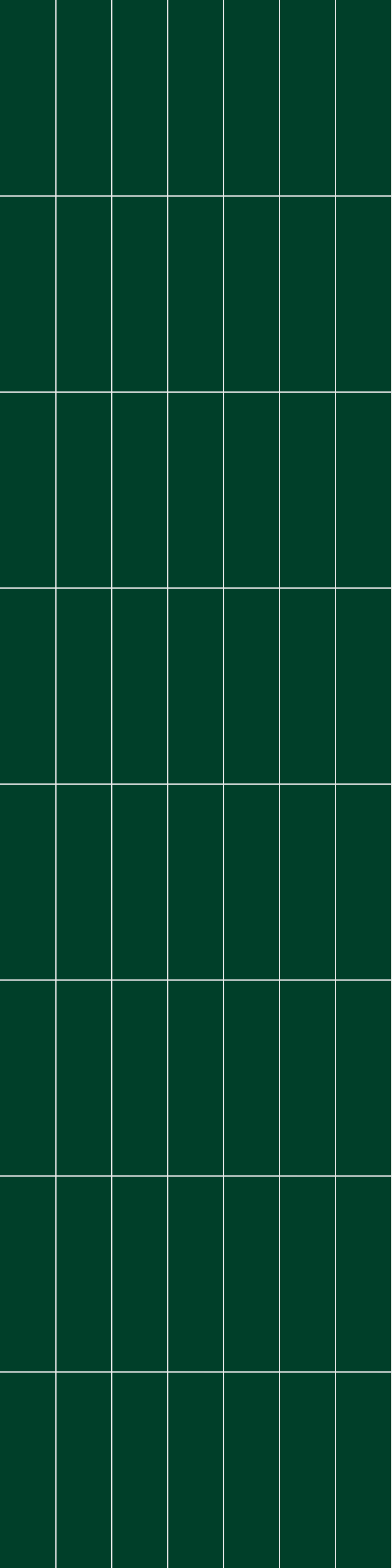 Sisustuslevy Fibo 5231M0830 Bottle Green 10x620x2400mm
