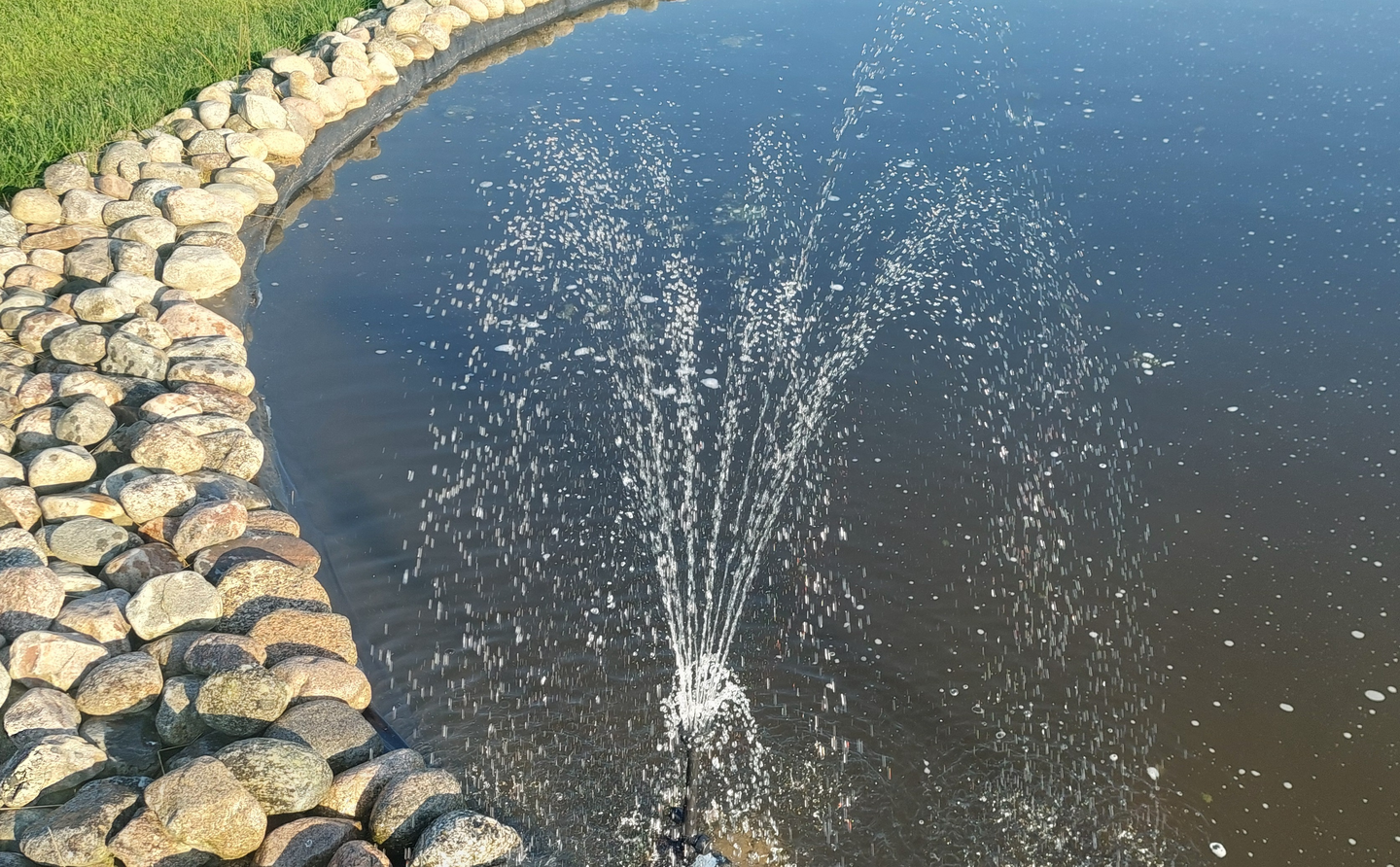 Suihkulähdepumppu FXA 50W 220-240V//50HZ