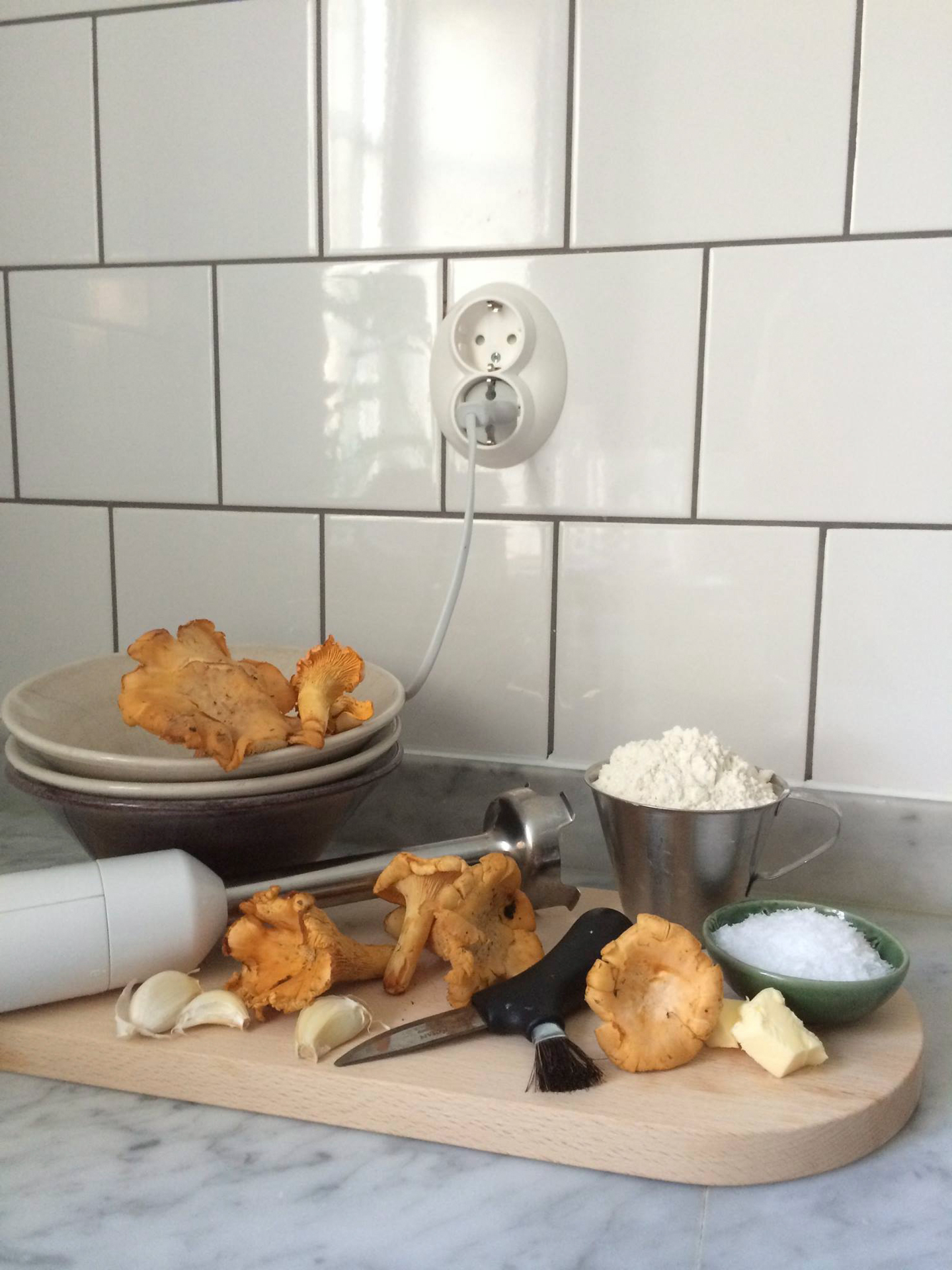 Pistorasia Schneider Electric Renova 2-osainen maadoitettu valkoinen