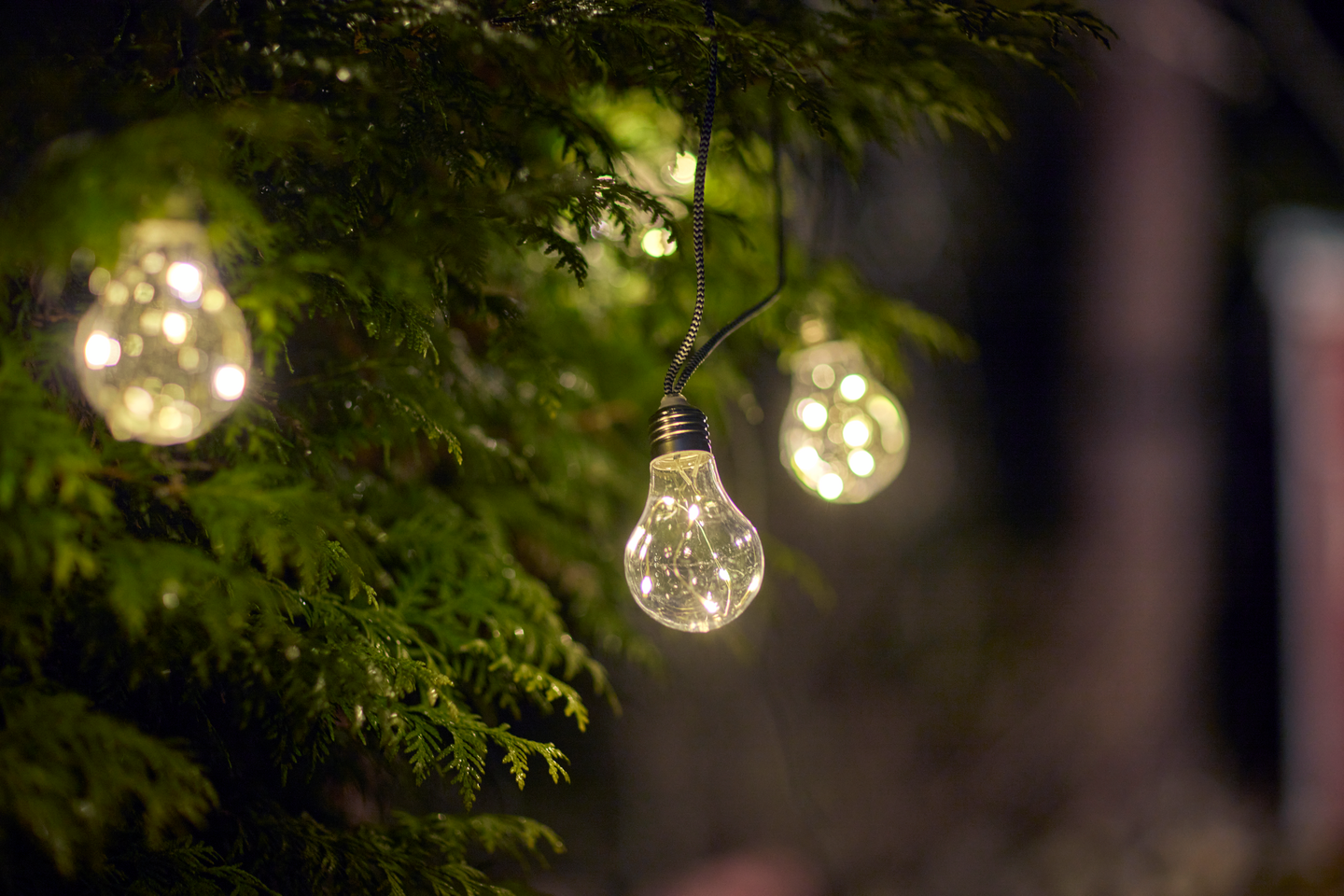 Lamppusarja Cello Rope 10led IP44