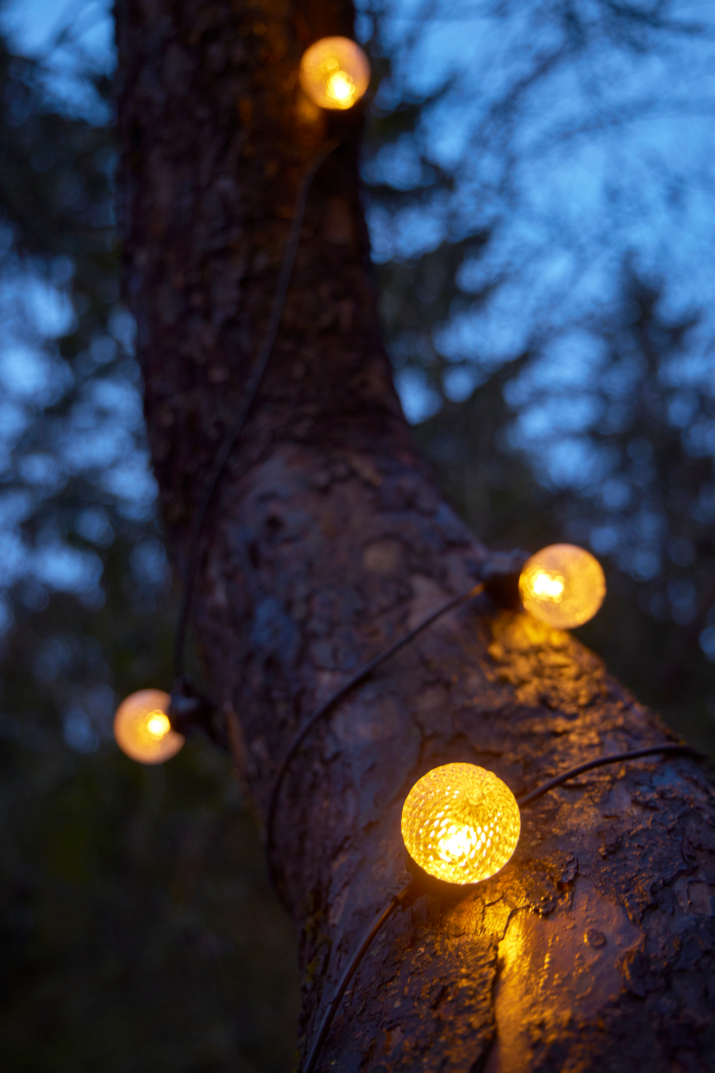 Lamppusarja Goodiy 10led IP44