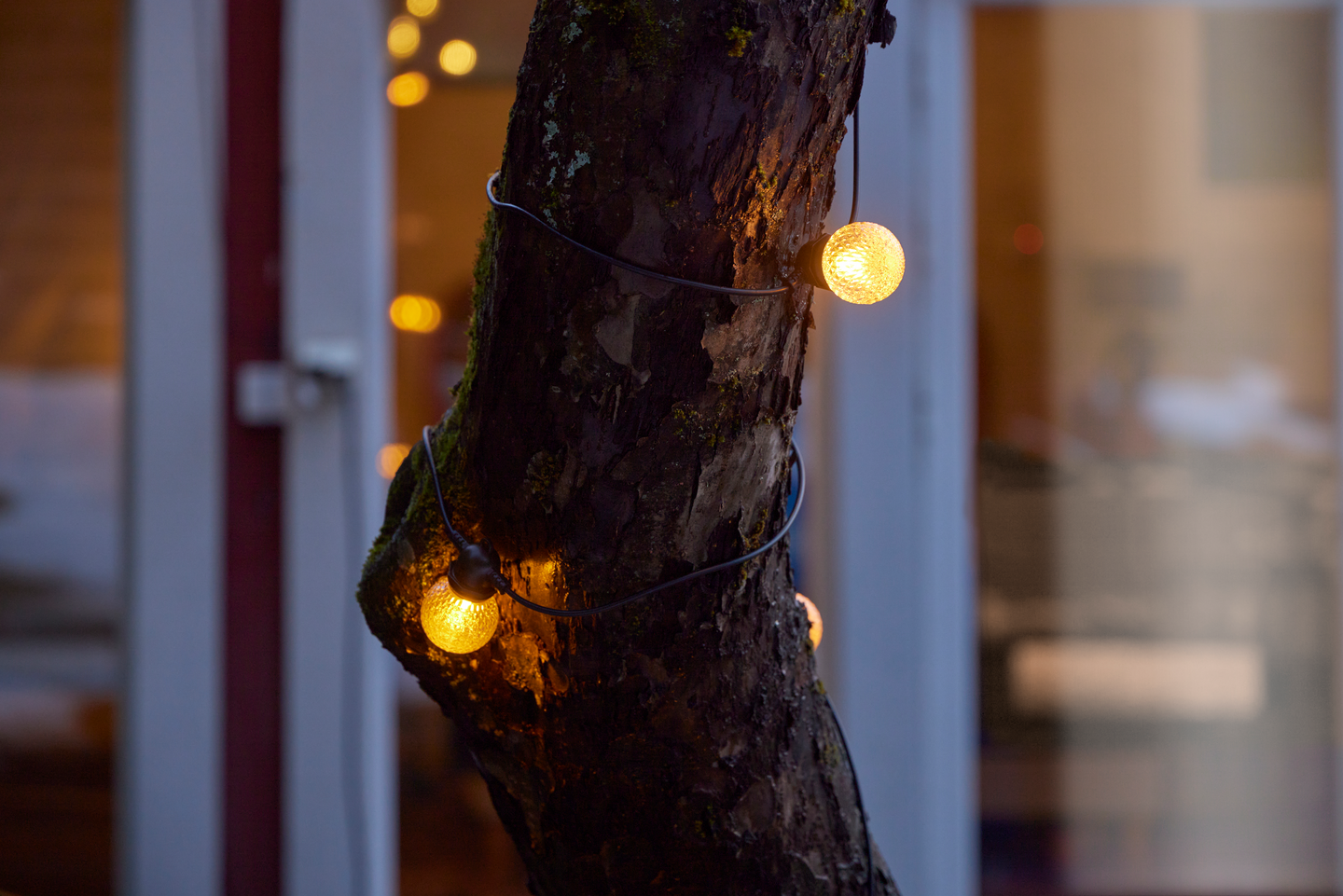 Lamppusarja Goodiy 10led IP44