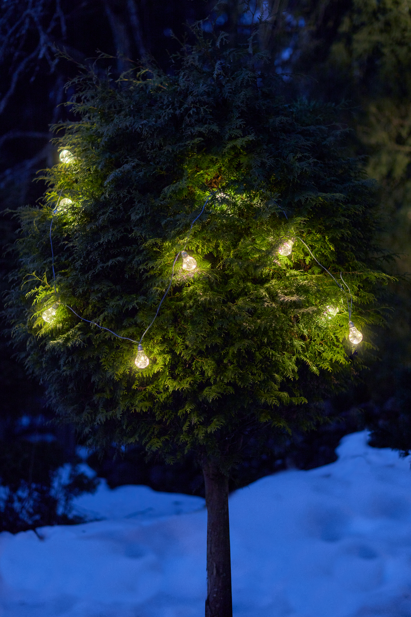 Lamppusarja Cello Rope 10led IP44