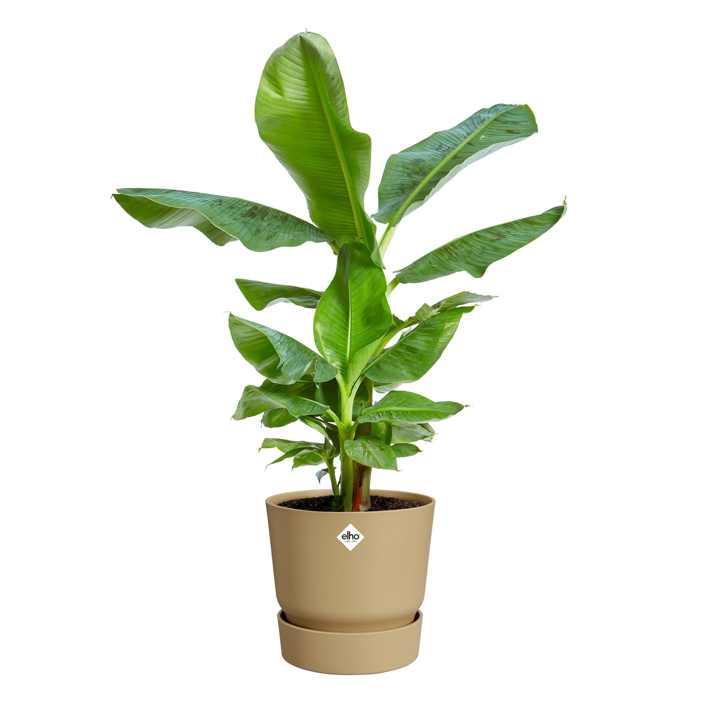 Ruukku Elho Greenville 20cm leveällä aluslautasella hiekka