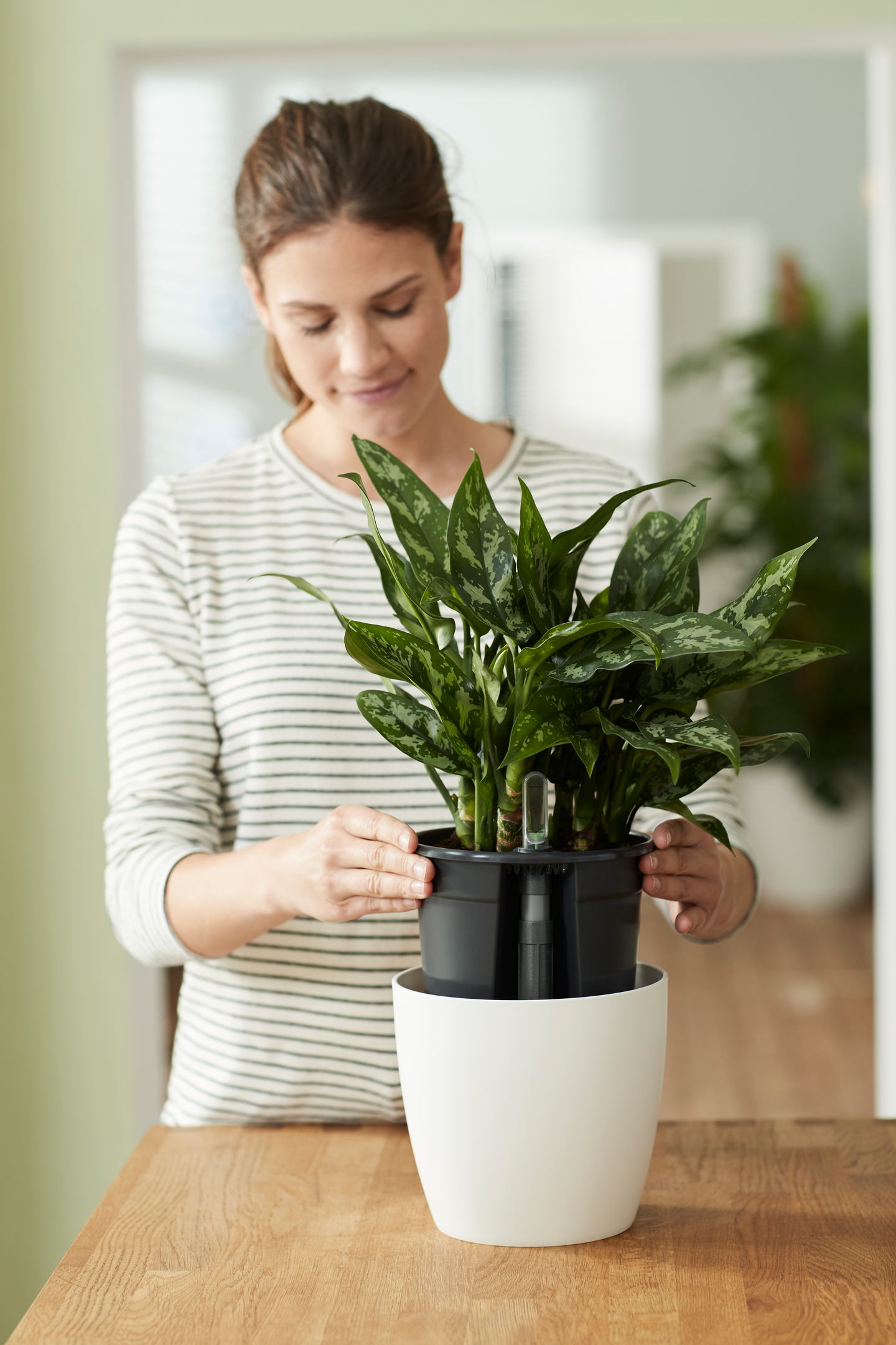 Altakasteluruukku Elho insert 13cm sopii 14cm ruukkuun