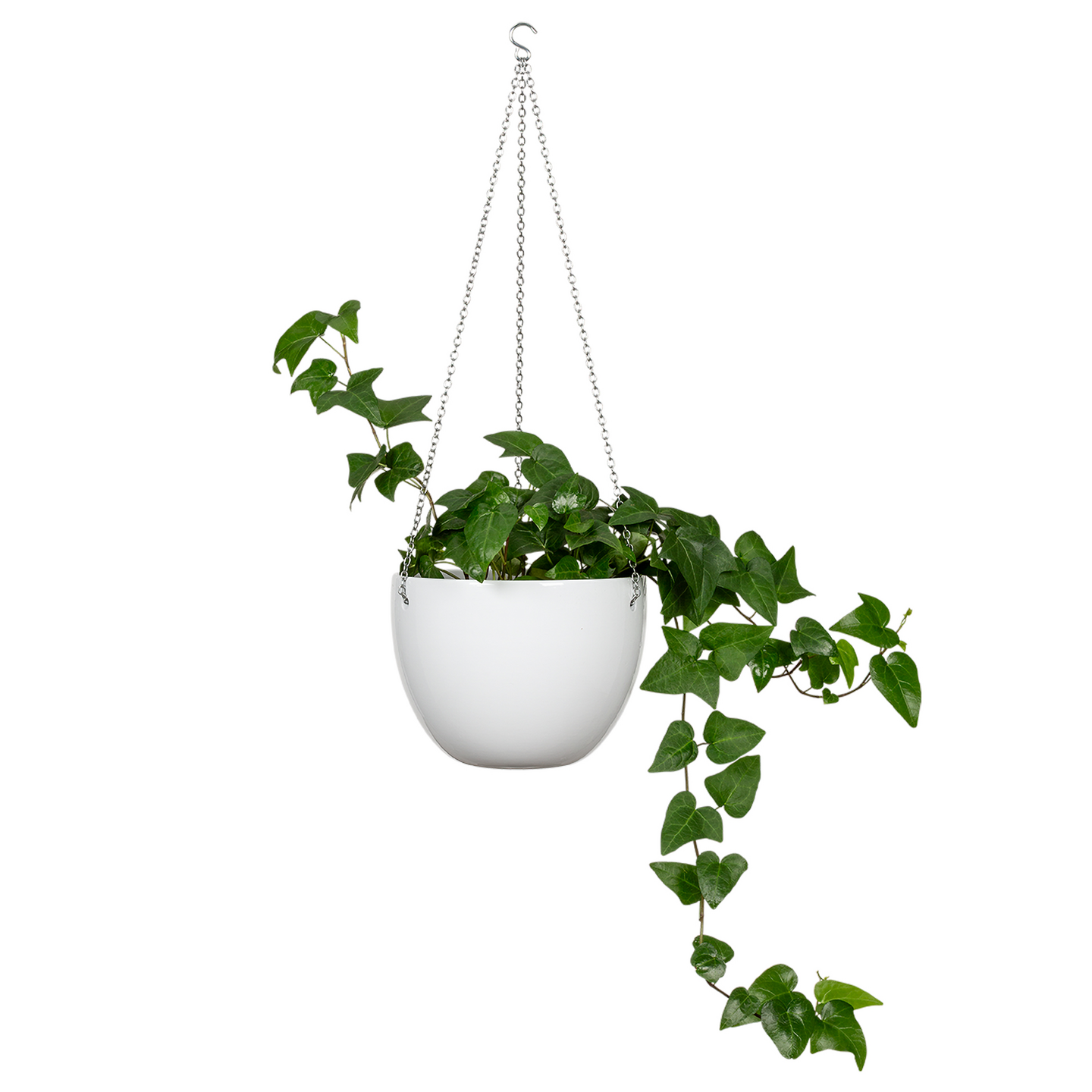 Amppeliruukku Scheurich 835 valkoinen 18cm