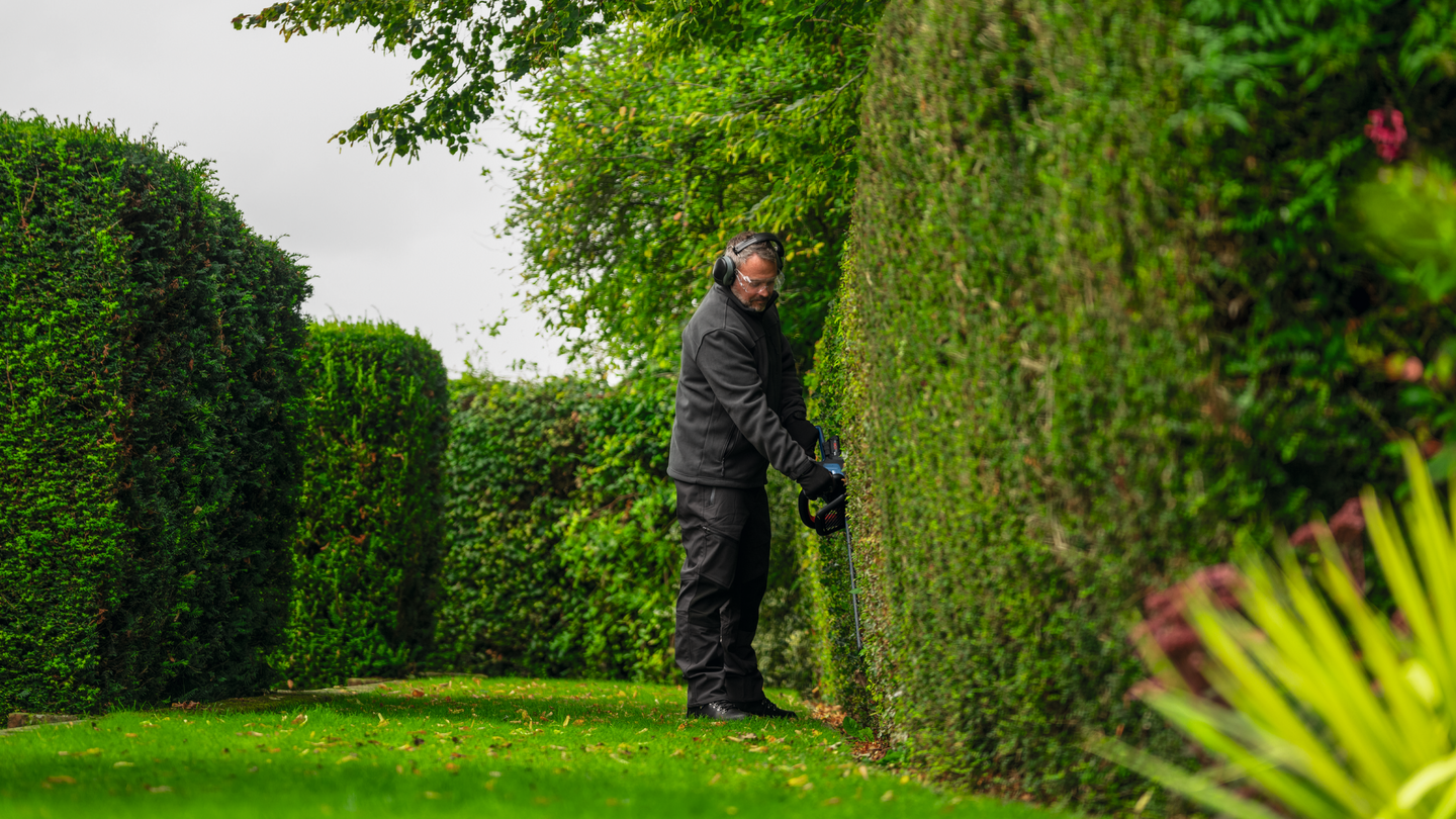 Akkupensasleikkuri Bosch GHE 18V-60 (II) Solo