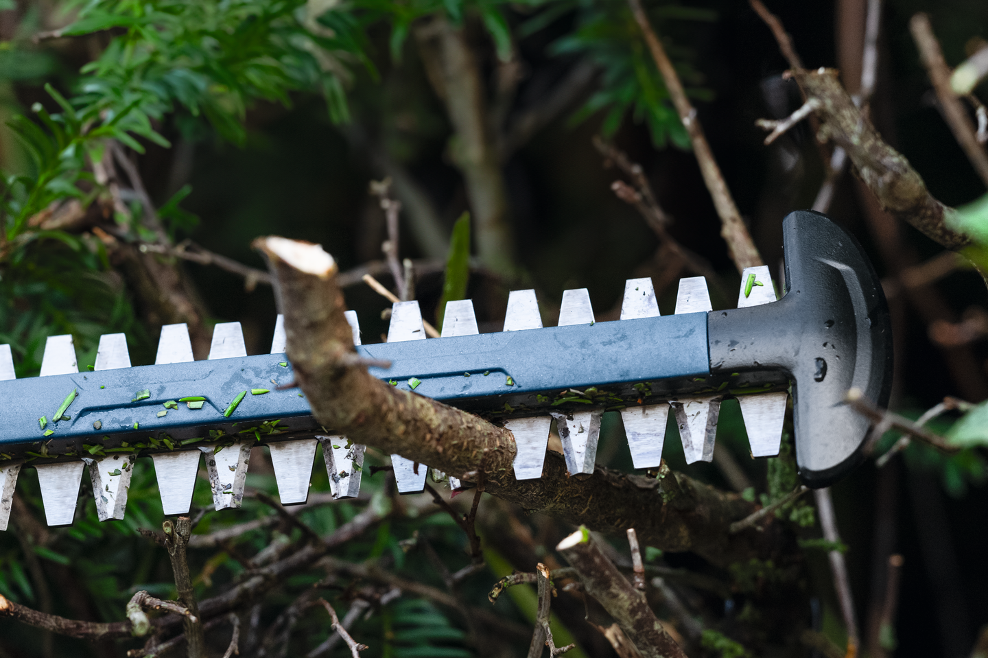 Akkupensasleikkuri Bosch GHE 18V-50 (II) Solo