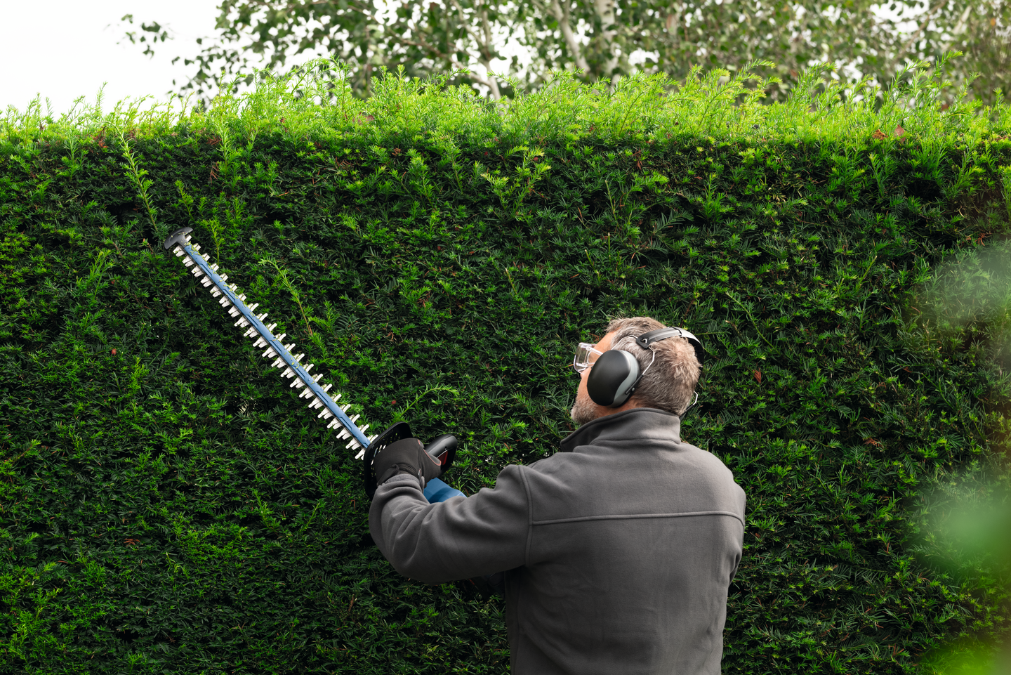 Akkupensasleikkuri Bosch GHE 18V-50 (II) Solo