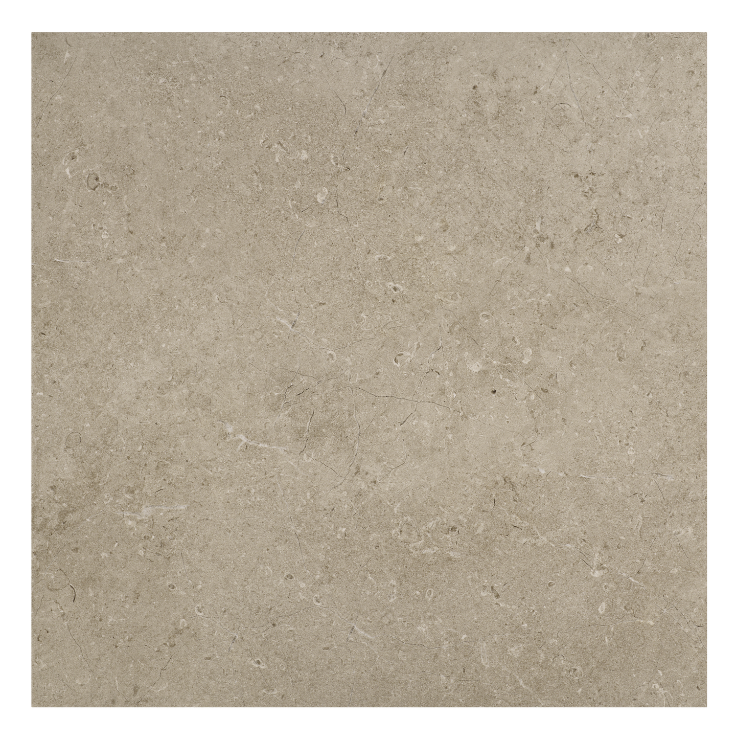 Lattialaatta Cello Limestone 60x60 Taupe RT 1,08m²