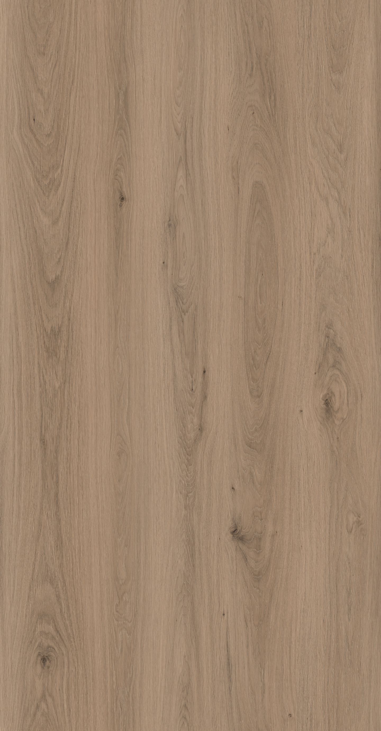 PETG-lankku Allure Forte Logan PVC vapaa KL34 1220x225x5,5mm HDPE 1,947m²