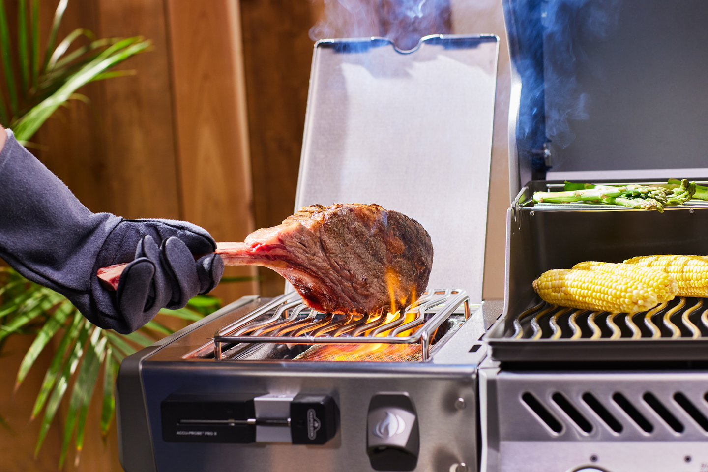 Langaton paistomittari Napoleon Accu-Probe Pro X