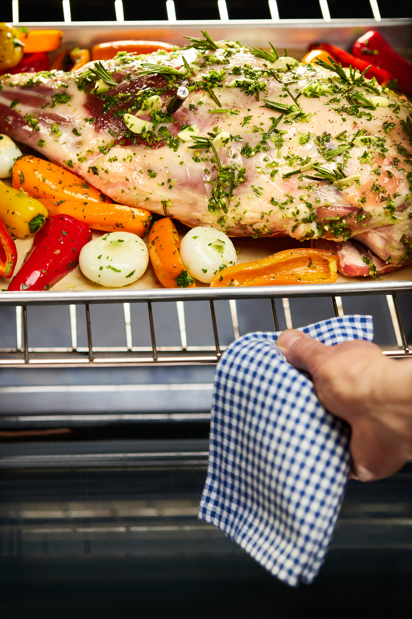 Langaton paistomittari Napoleon Accu-Probe Pro X