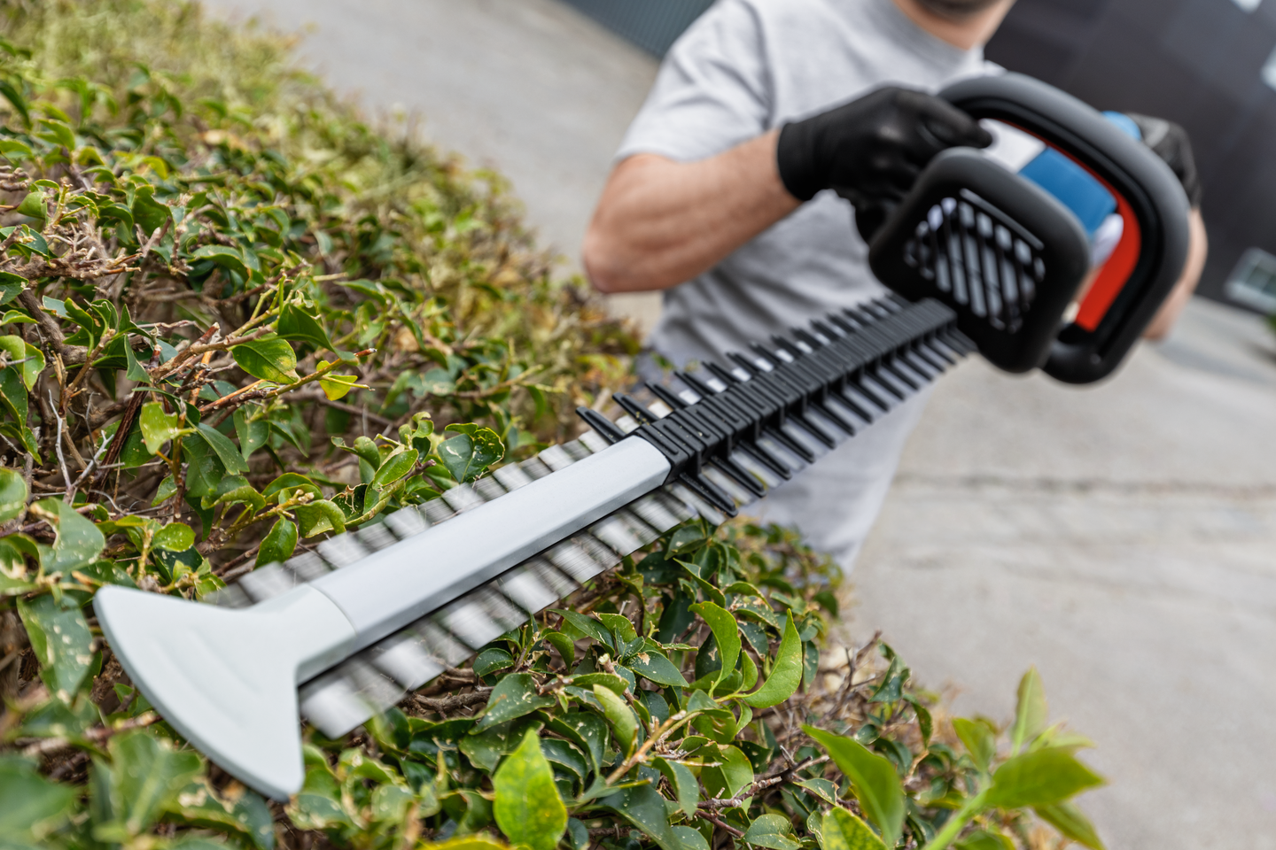 Akkupensasleikkuri Bosch GHE 18V-60 Solo