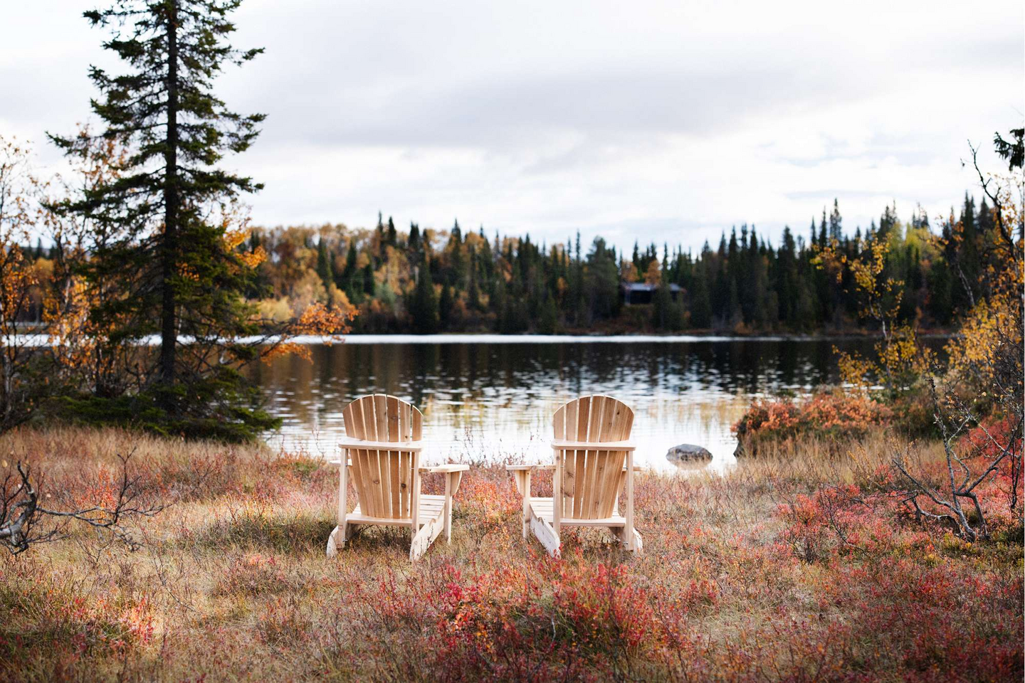 Puutarhatuoli Espegard Classic Adirondack setripuu LV