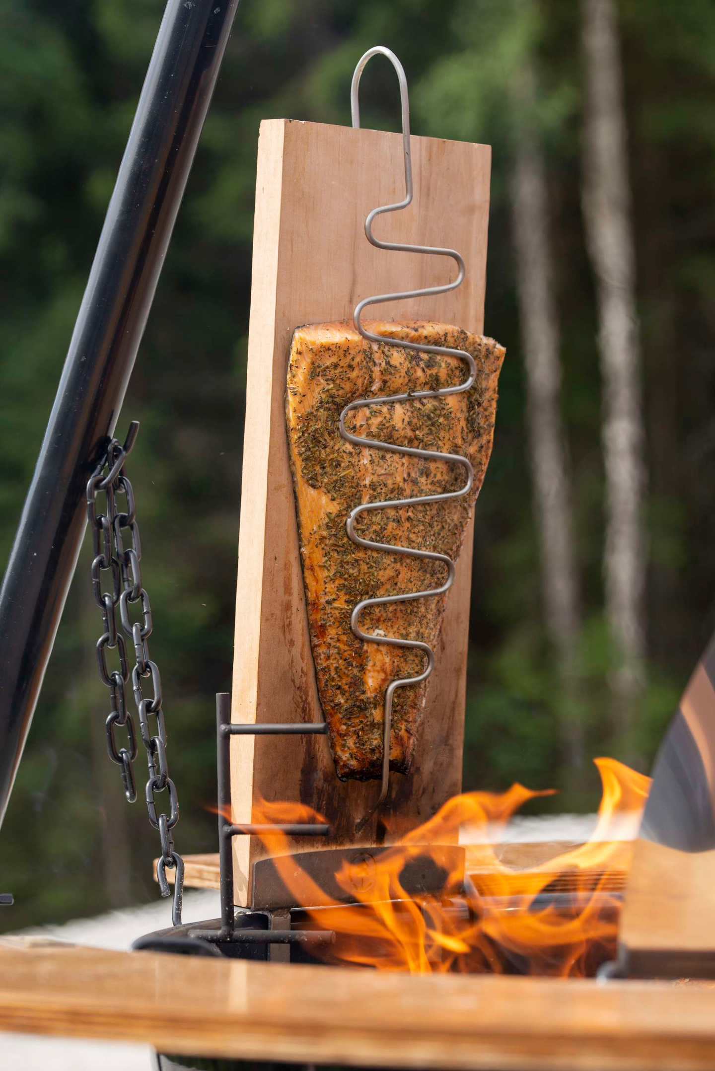 Loimulohilauta Espegard-tulipataan