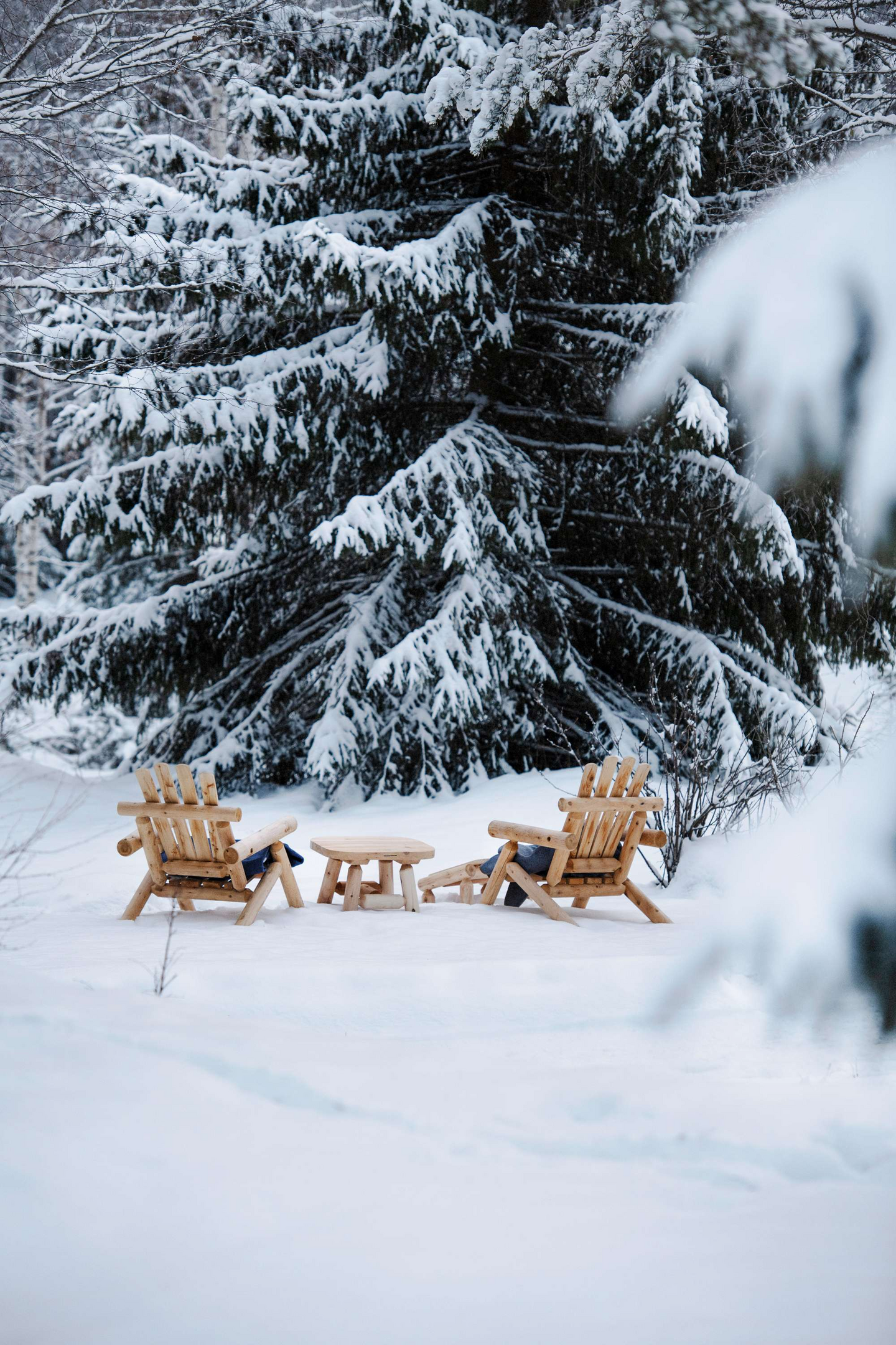 Puutarhatuoli Espegard Log setripuu LV
