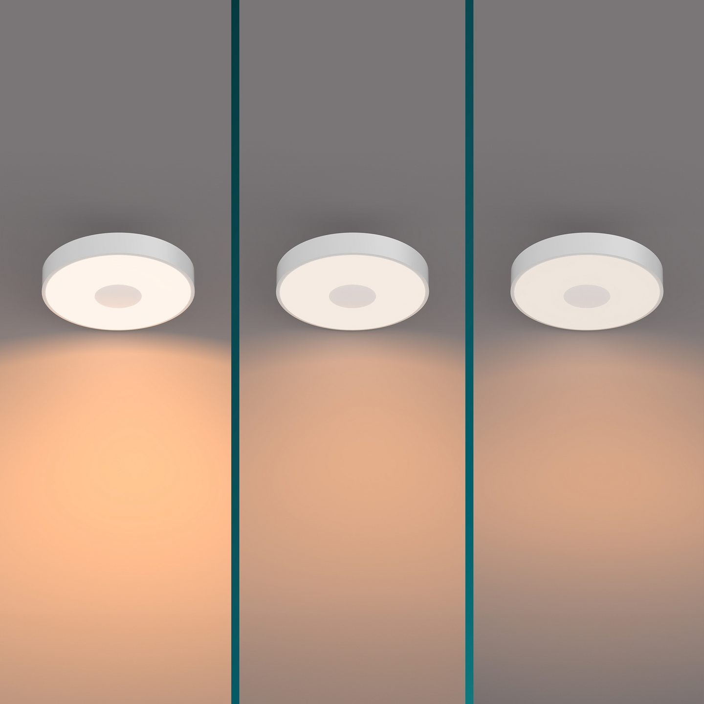 Kattovalaisin Philips Coiner SS RD 24W W 2700 LM - 2700K