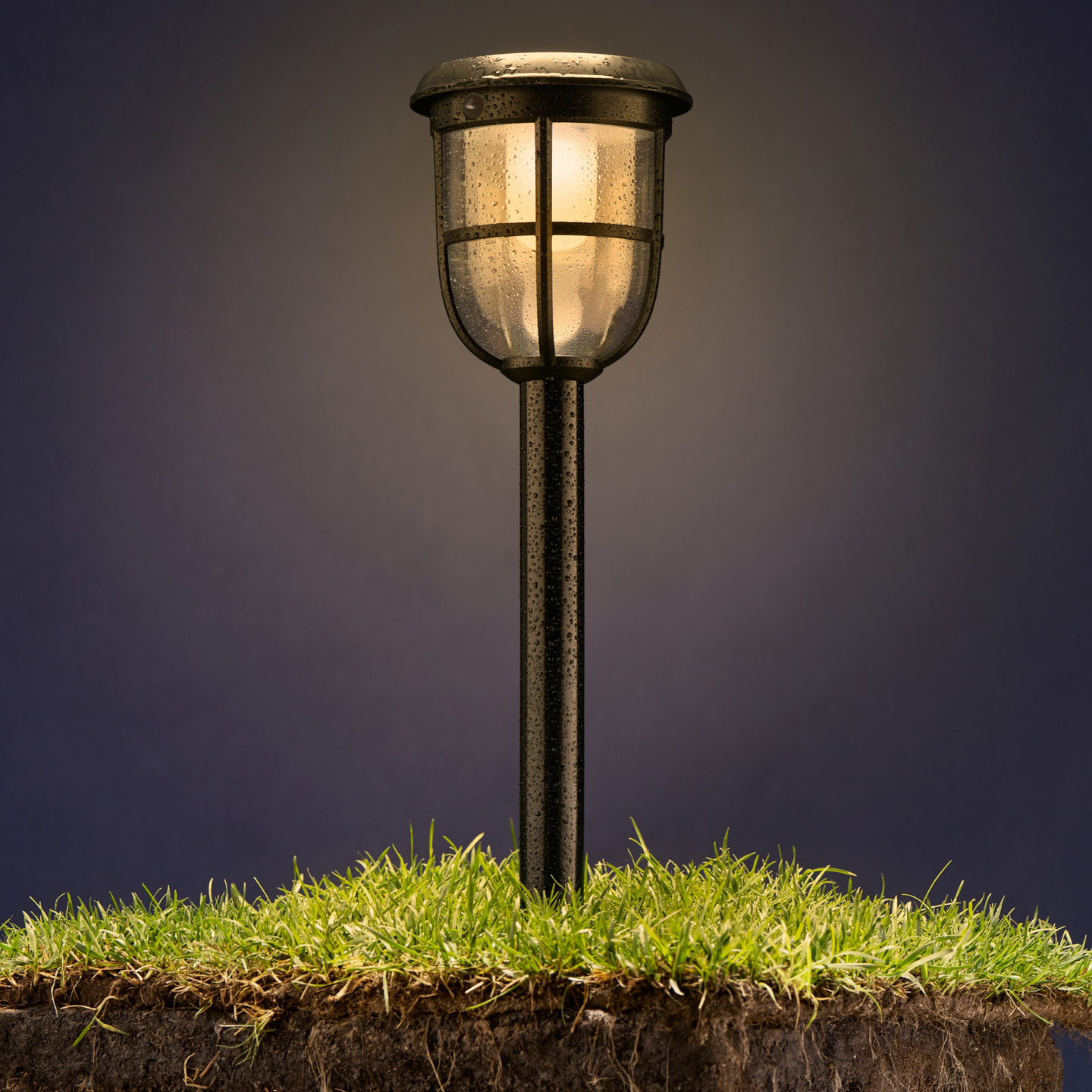 Aurinkokennovalaisin Philips Radii 250lm 3000K 1.3W musta