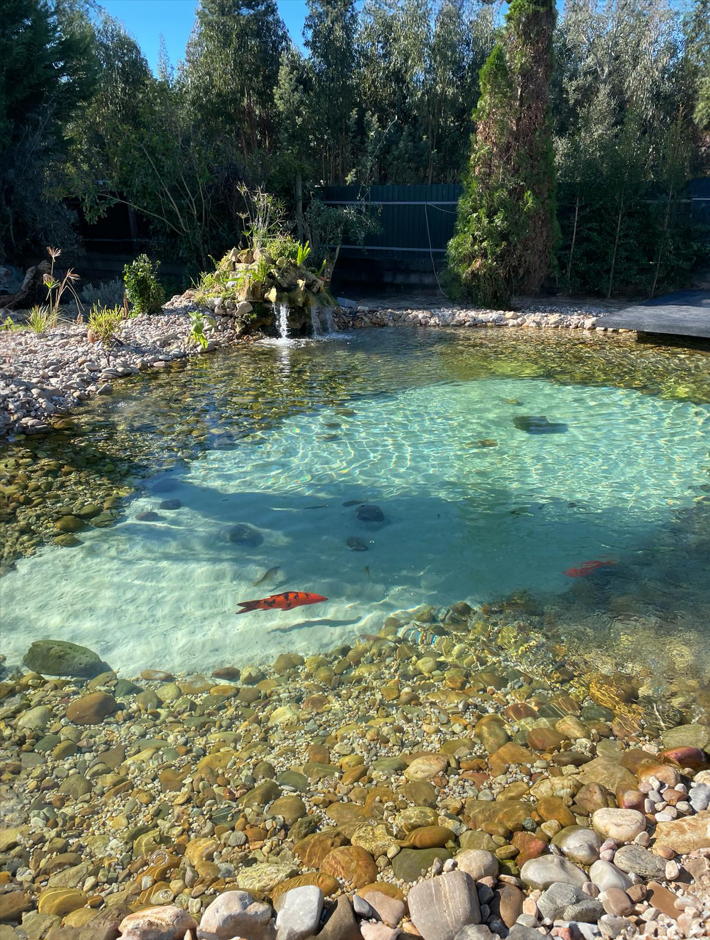 Allaskumi 1 mm 6 m Rollgum GEO