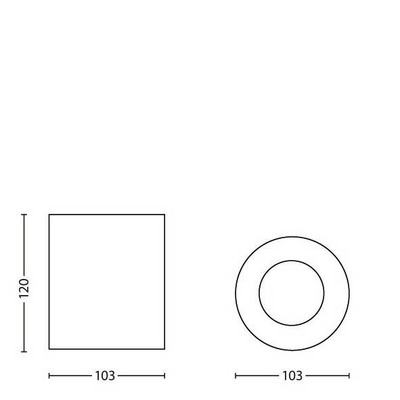 Spottivalaisin Philips Pillar 1-osainen musta