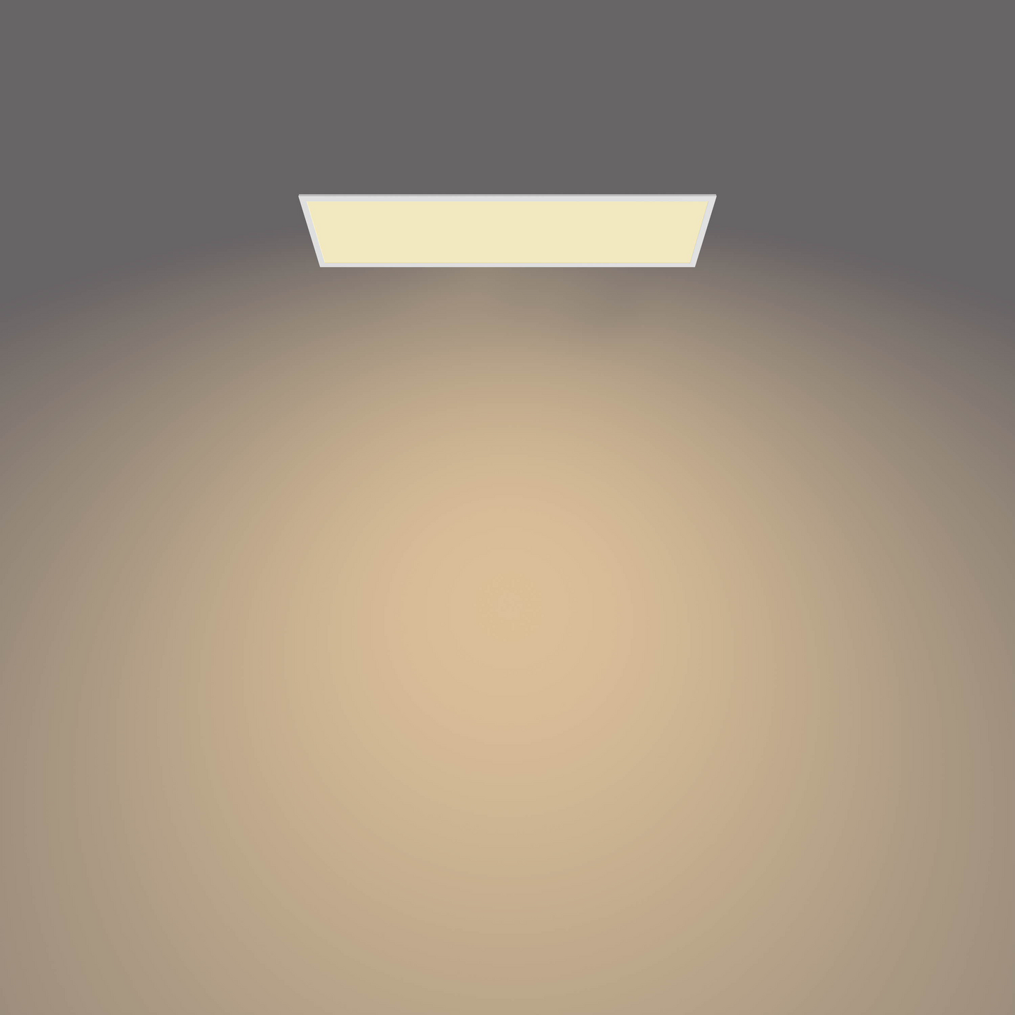 Kattovalaisin Philips Panel 36W 27K valkoinen