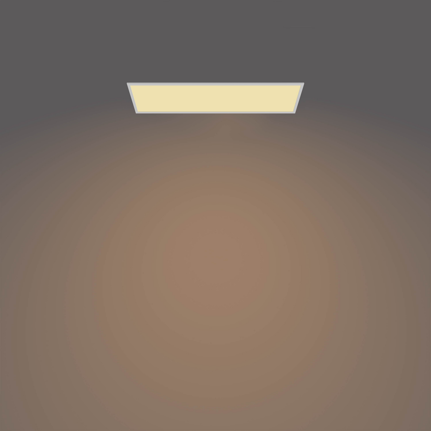 Kattovalaisin Philips Panel 36W 27K valkoinen