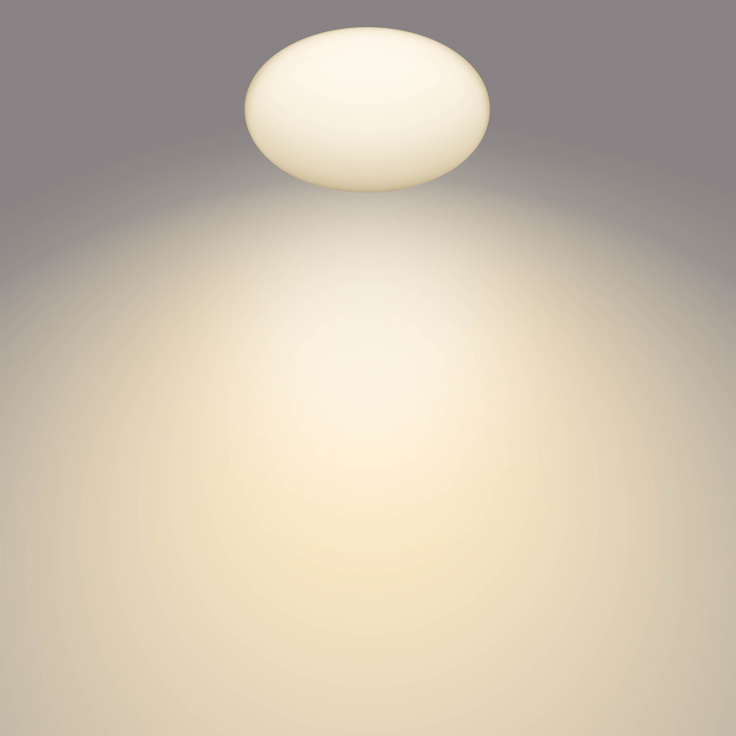 Kattovalaisin Philips Shan 12W 27K valkoinen