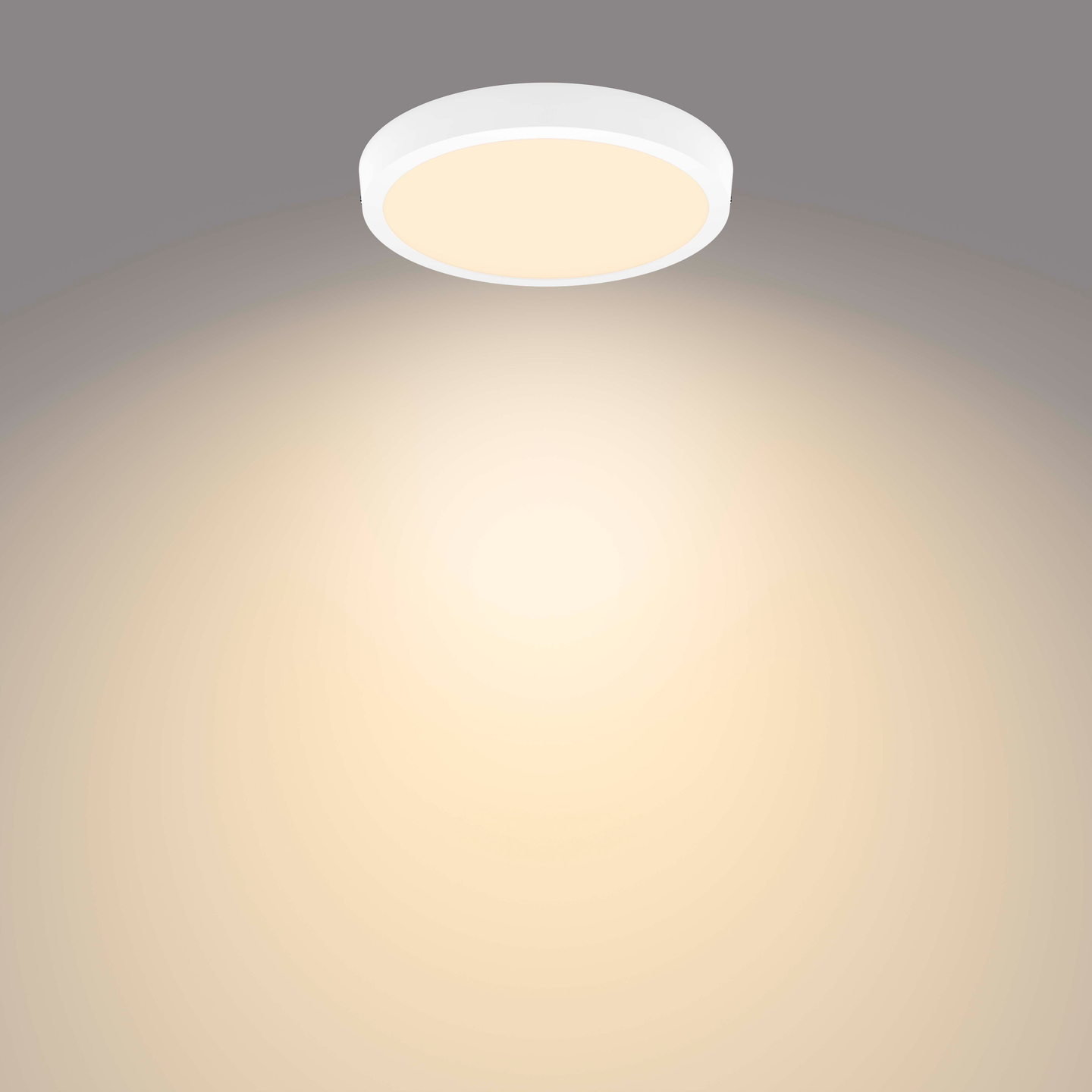 Kattovalaisin Philips Magneos 12W 27K valkoinen pyöreä