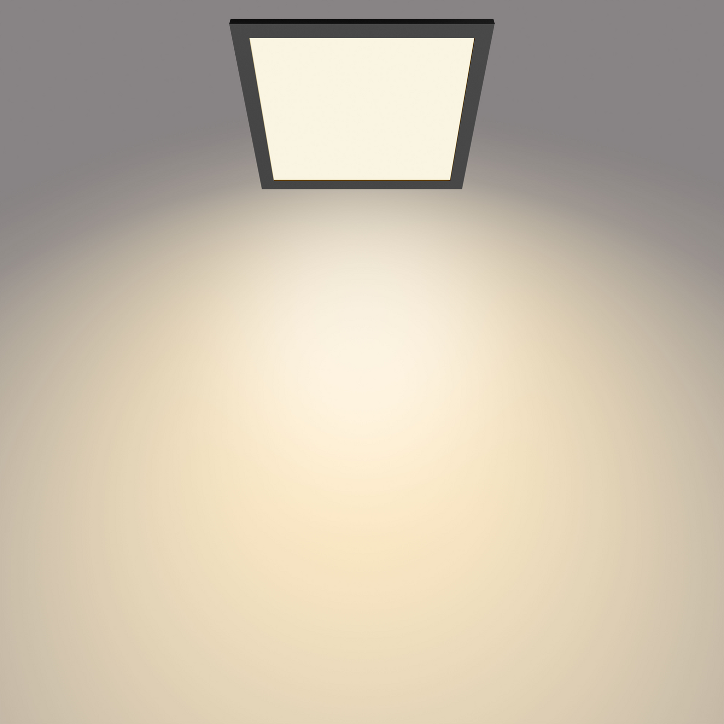 Kattovalaisin Philips Panel 12W 27K musta neliö