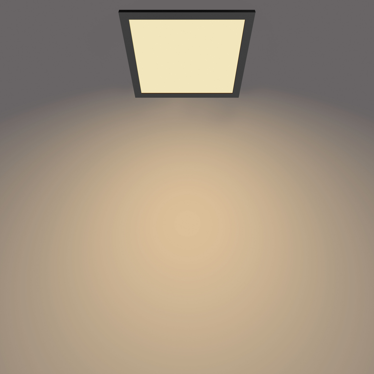 Kattovalaisin Philips Panel 12W 27K musta neliö