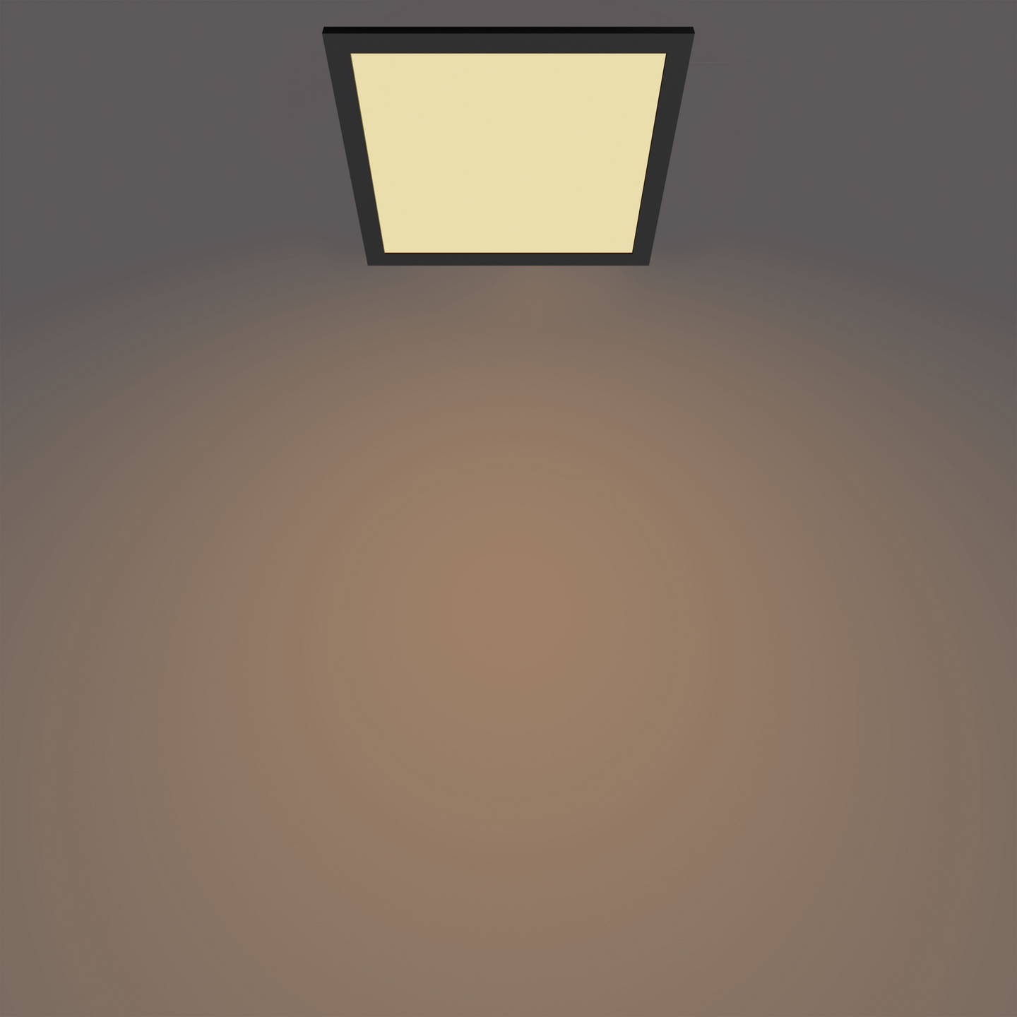 Kattovalaisin Philips Panel 12W 27K musta neliö