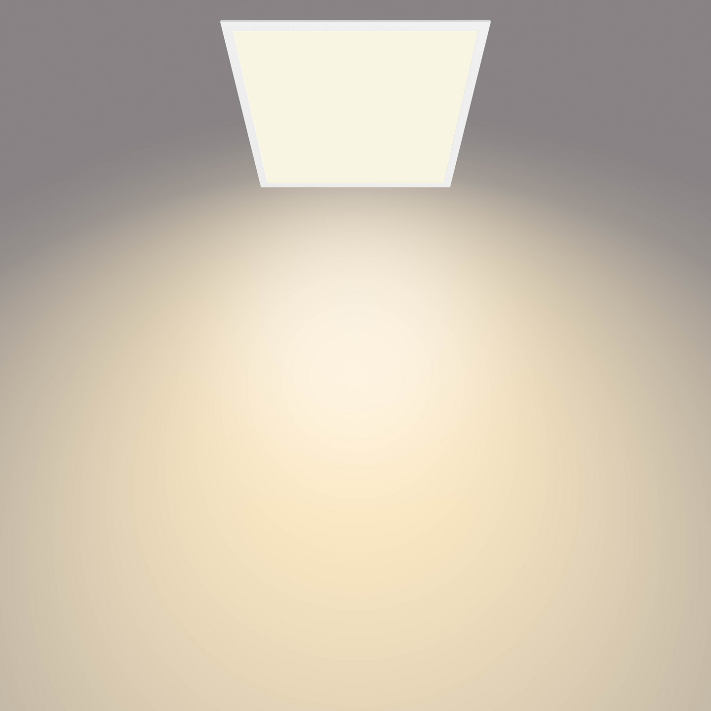 Kattovalaisin Philips Panel 36W 27K valkoinen