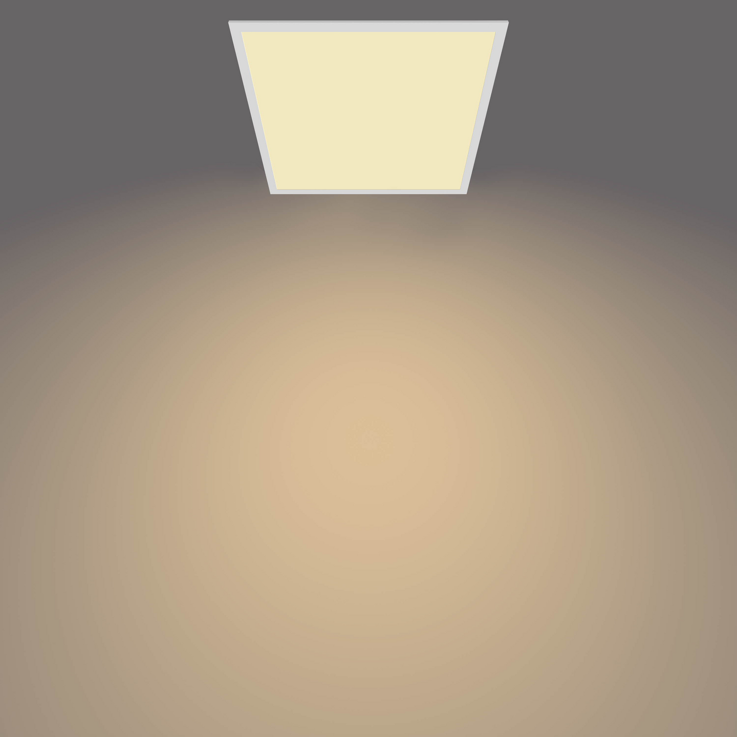 Kattovalaisin Philips Panel 36W 27K valkoinen