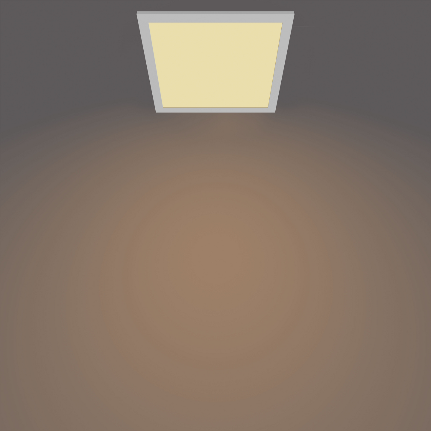 Kattovalaisin Philips Panel 12W 27K valkoinen neliö