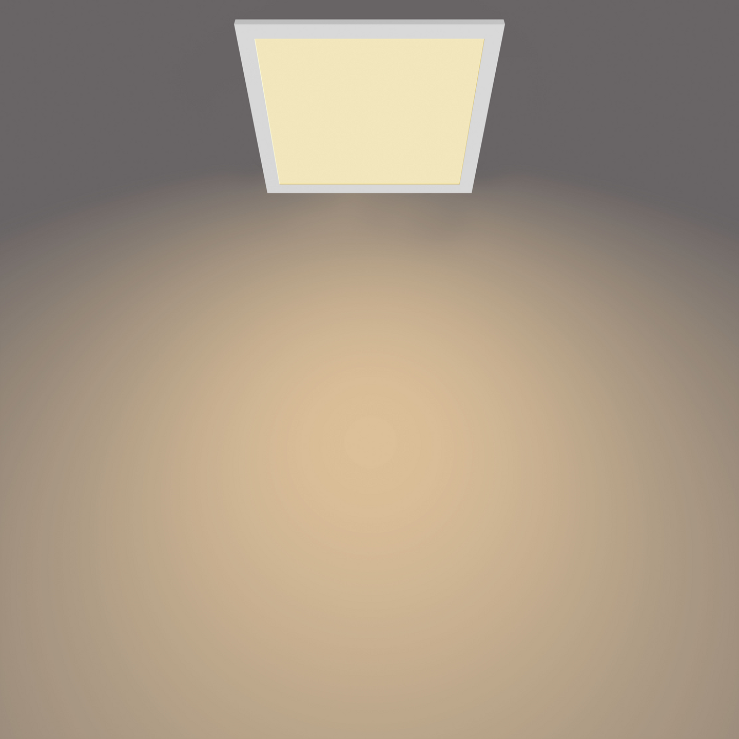 Kattovalaisin Philips Panel 12W 27K valkoinen neliö