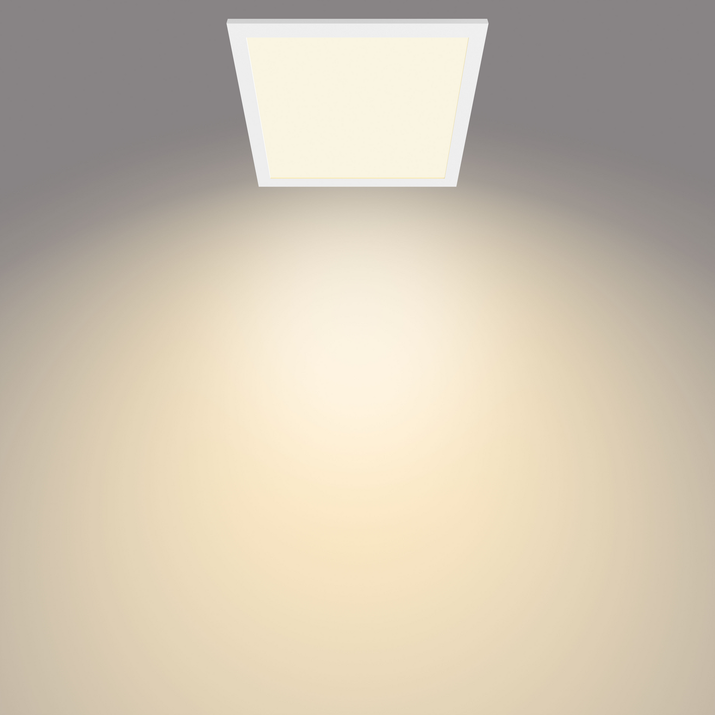 Kattovalaisin Philips Panel 12W 27K valkoinen neliö